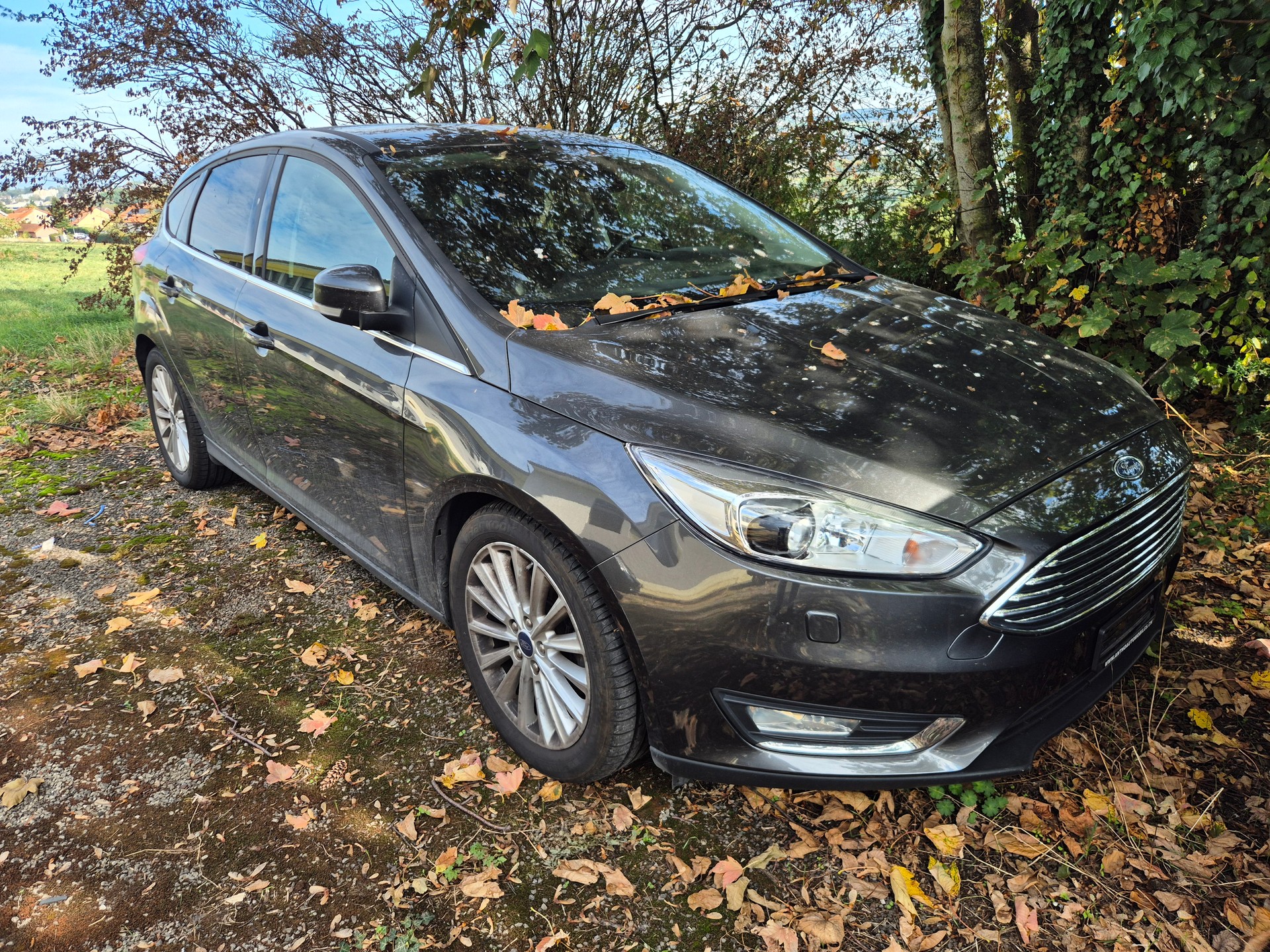 FORD Focus 1.5 SCTi Titanium Automatic-image-0