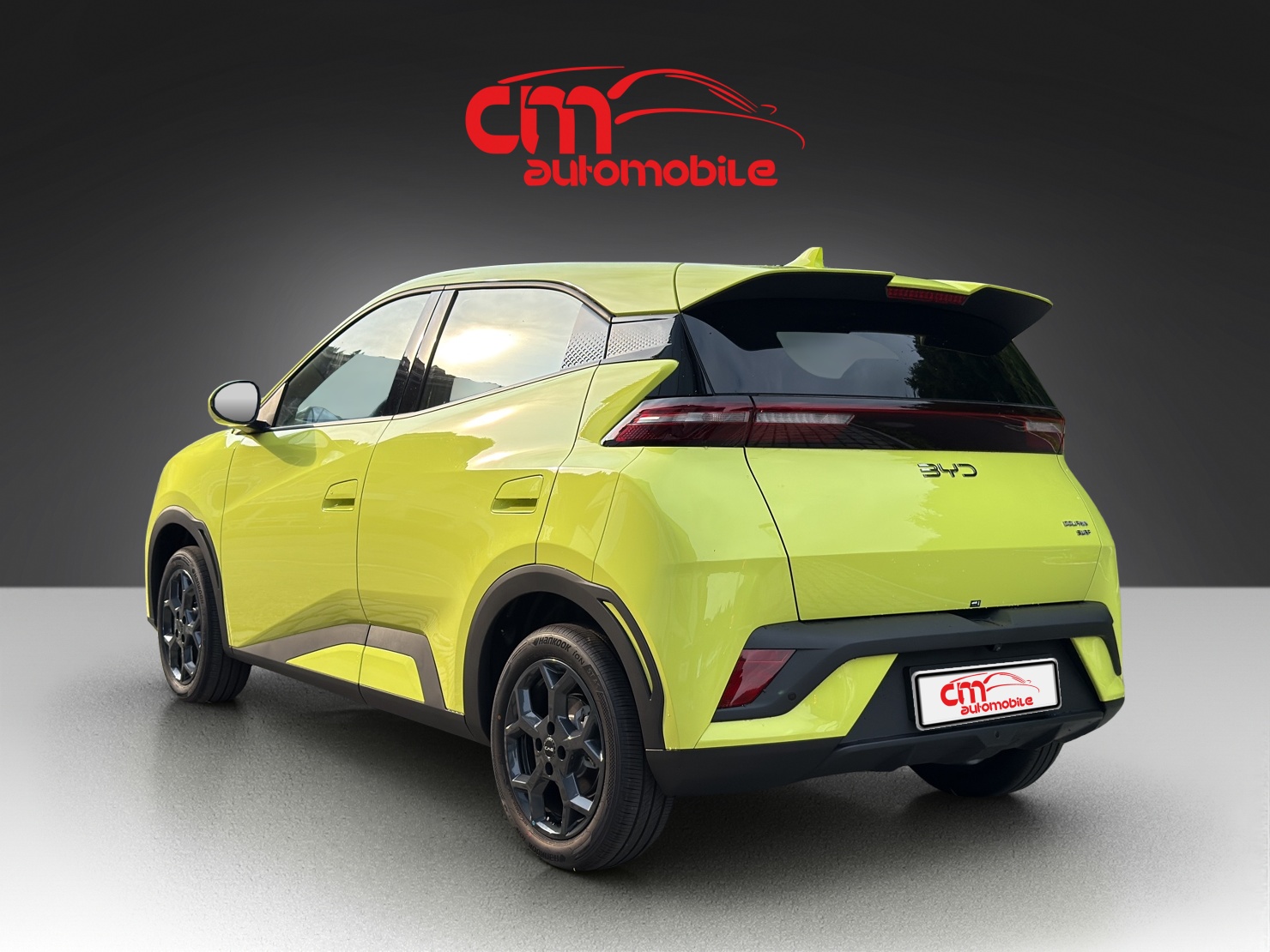 BYD Dolphin Surf 30 kWh Active-showroom-element-1