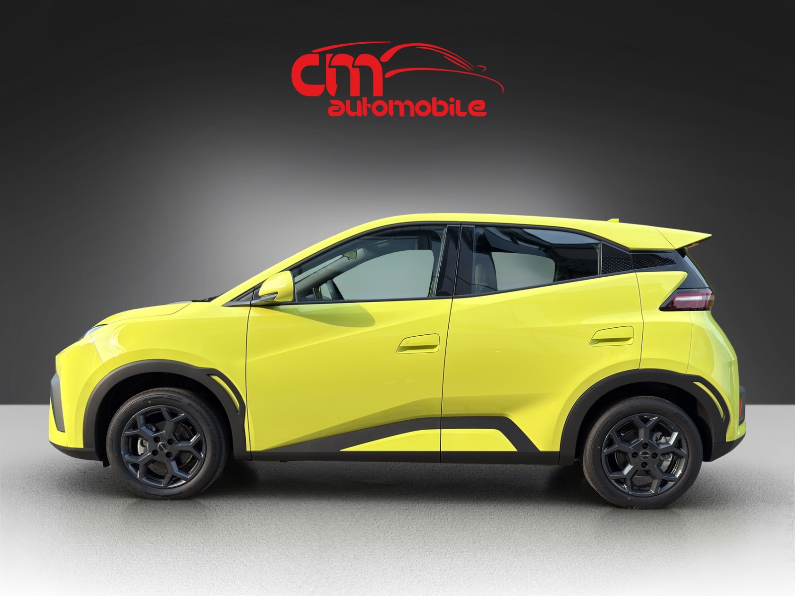 BYD Dolphin Surf 30 kWh Active-image-7