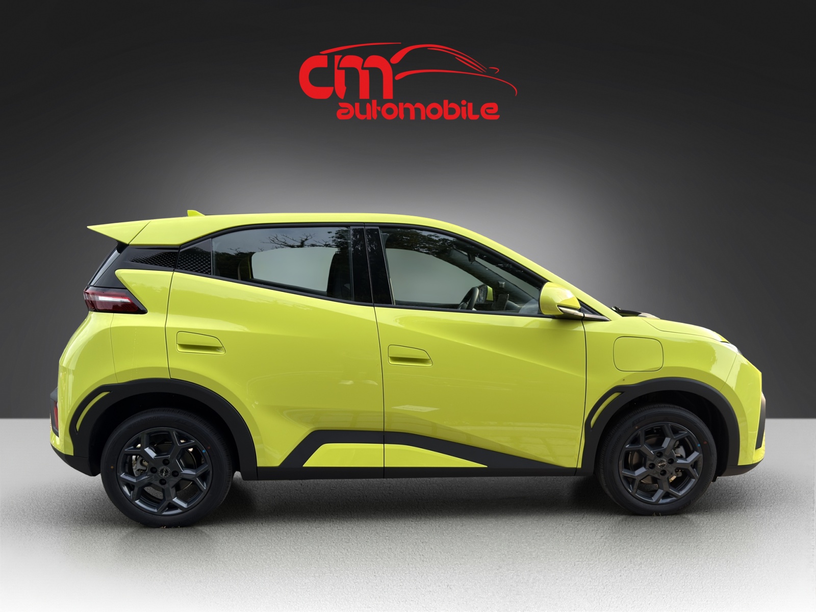 BYD Dolphin Surf 30 kWh Active-image-4