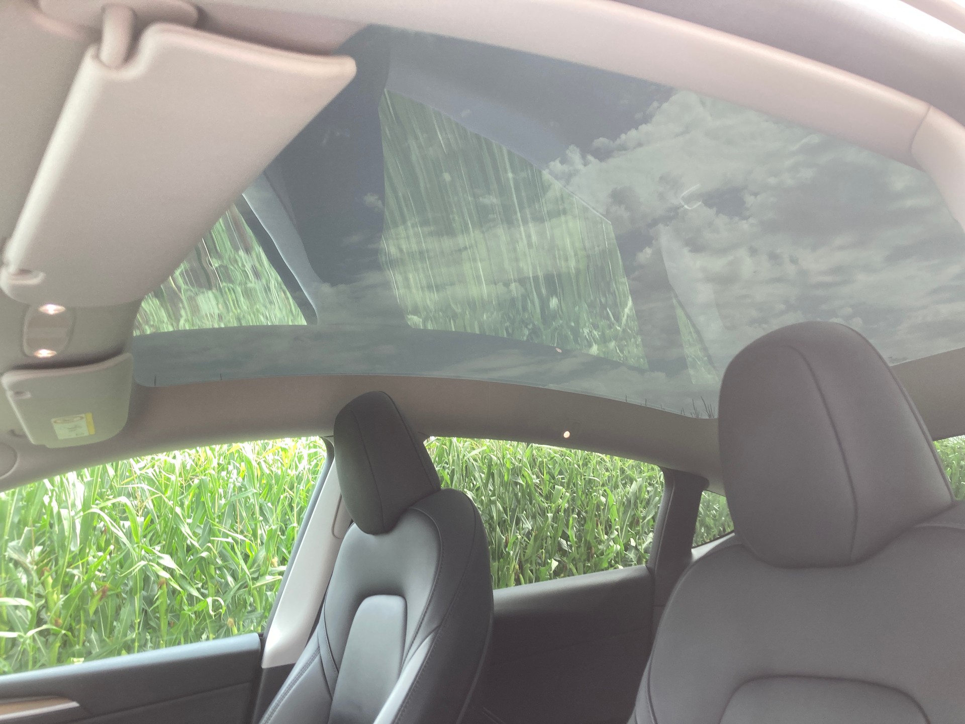 TESLA Model Y Long Range-image-10