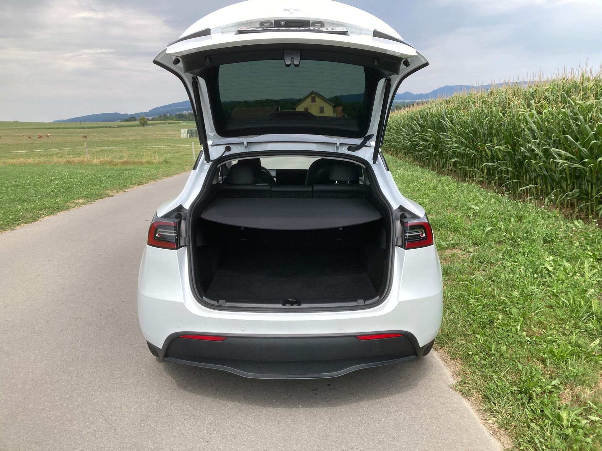 TESLA Model Y Long Range-image-5