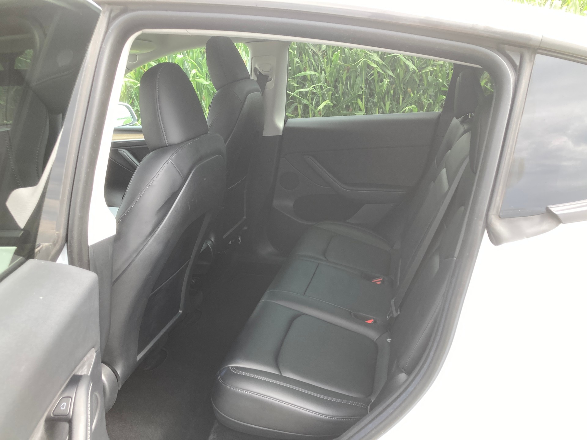 TESLA Model Y Long Range-image-7