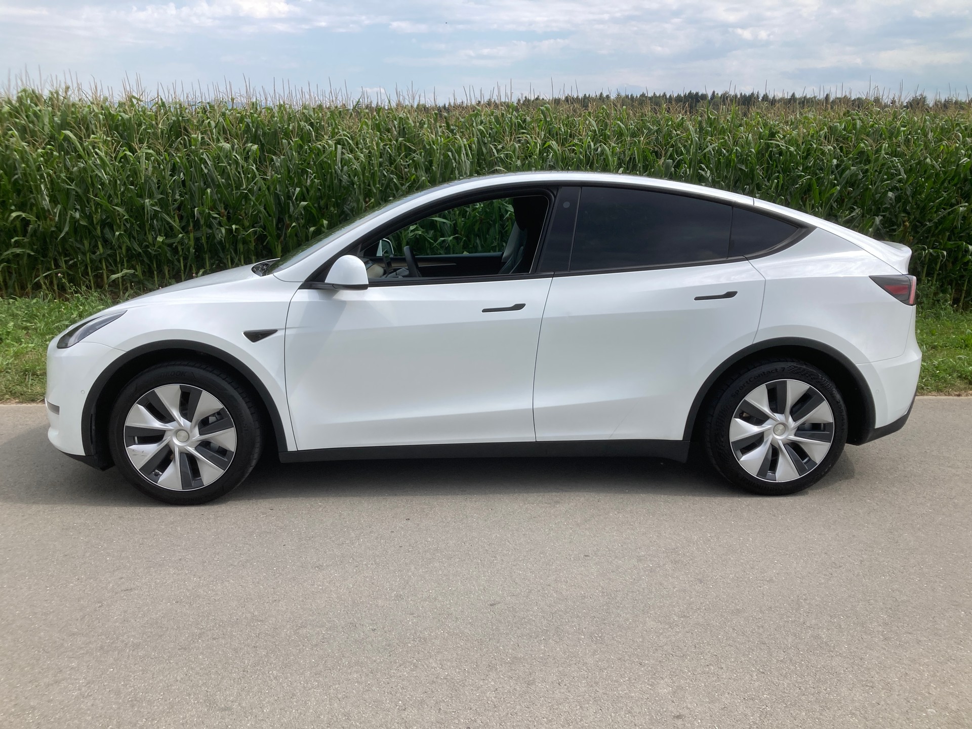 TESLA Model Y Long Range-image-4