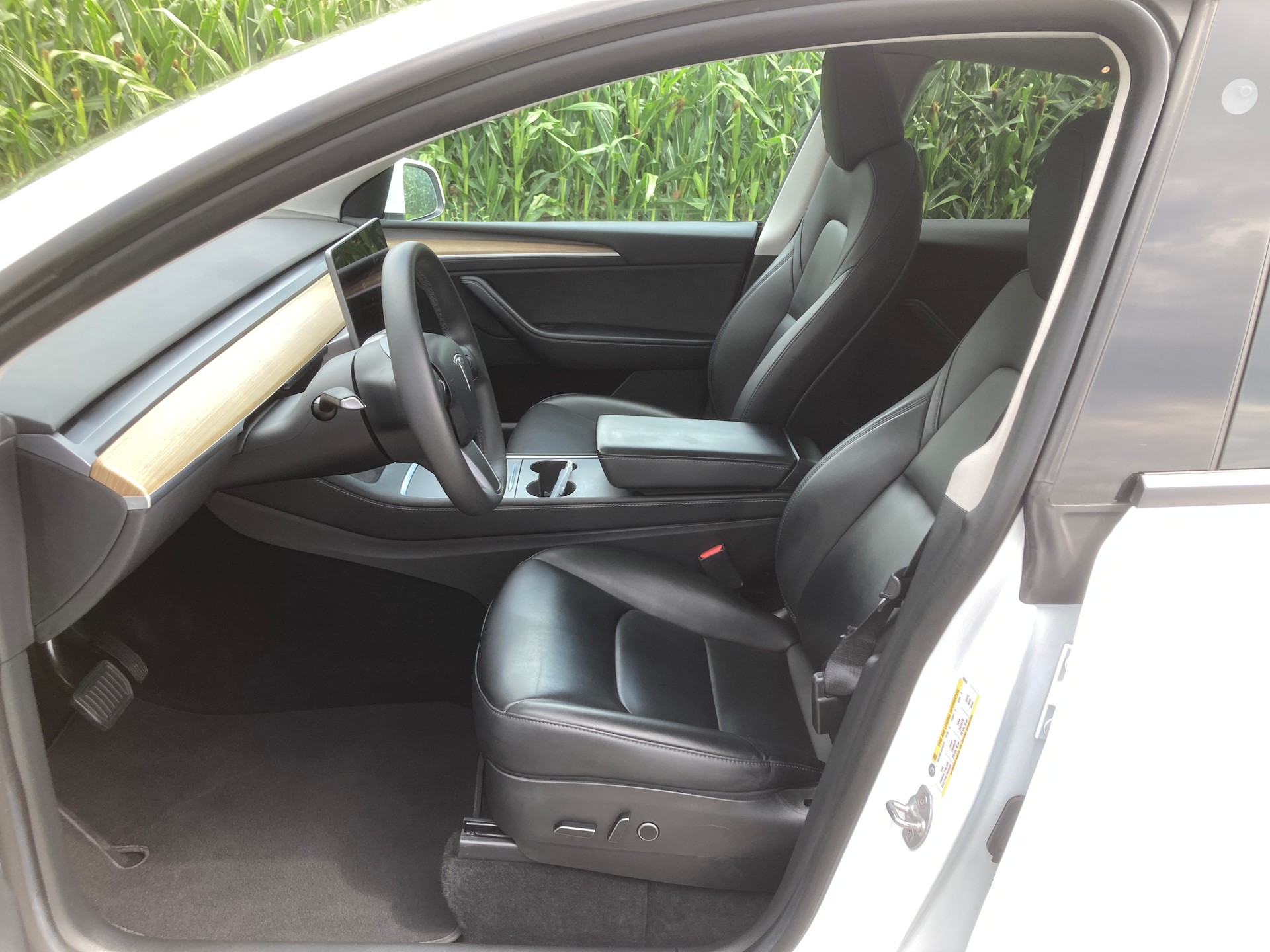 TESLA Model Y Long Range-image-8