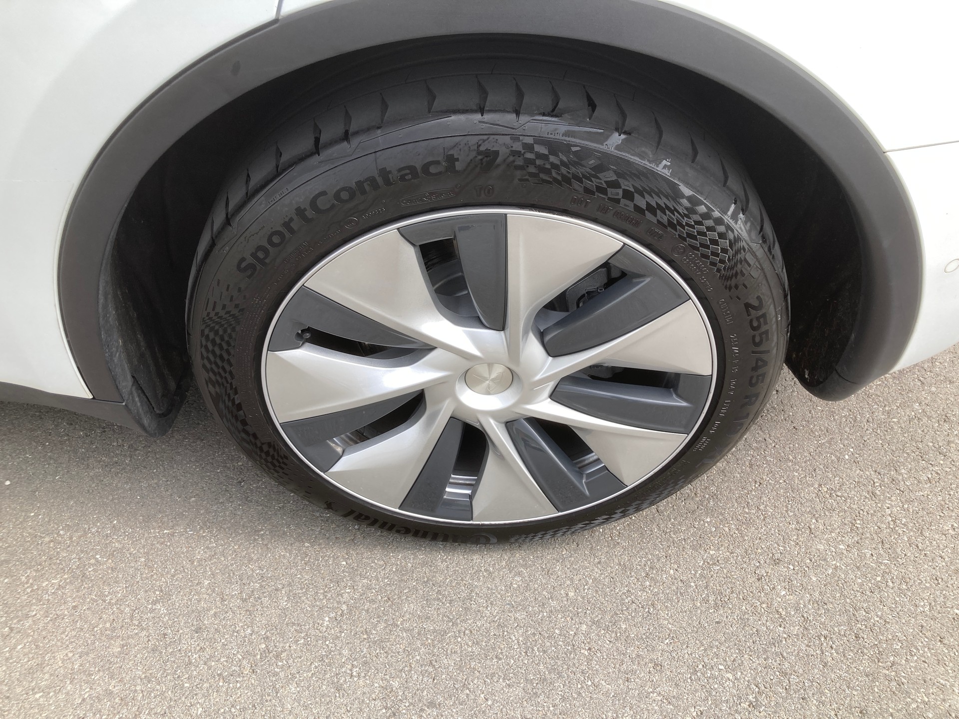 TESLA Model Y Long Range-image-6