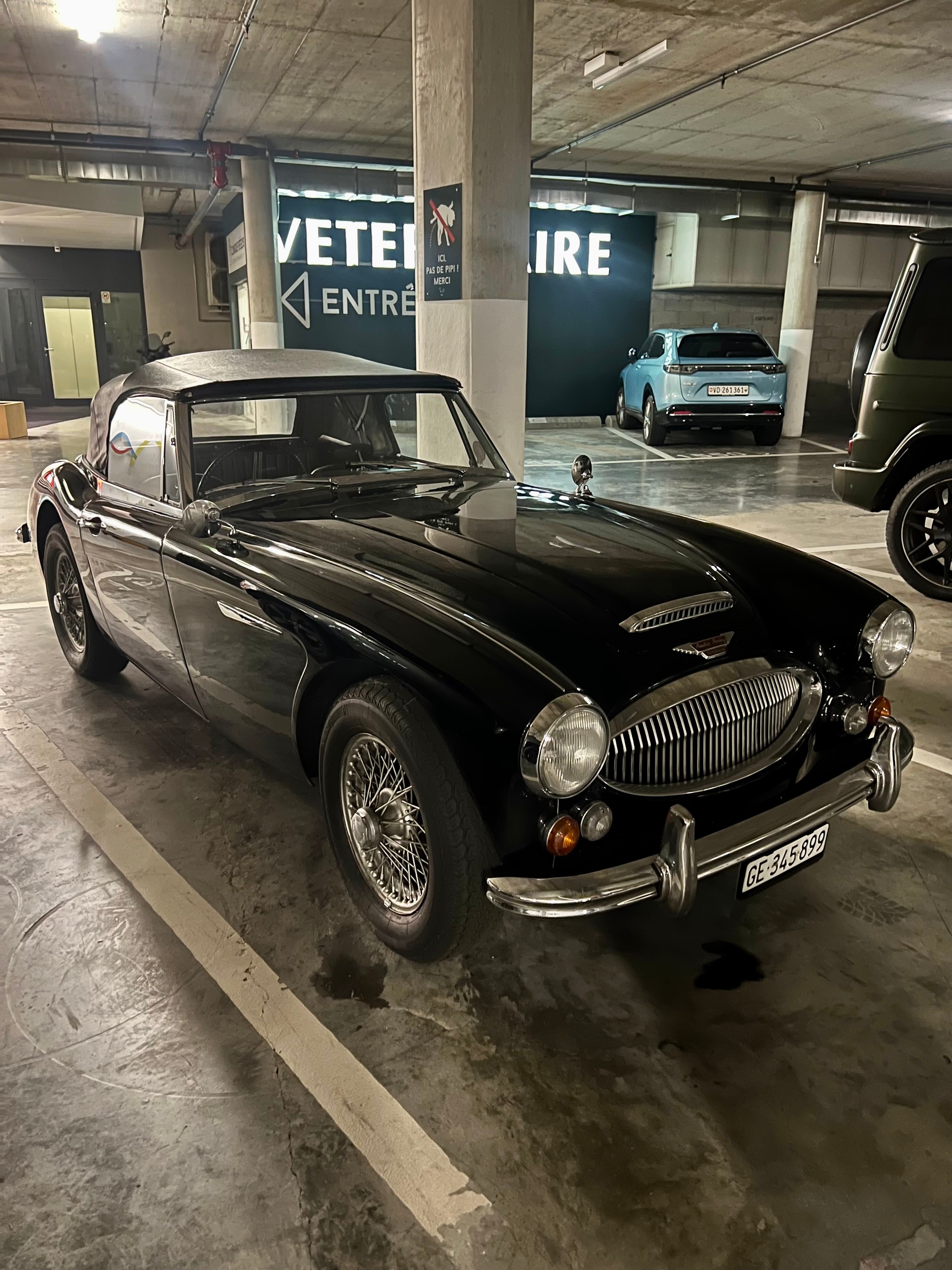 AUSTIN-HEALEY 3000 Mark III-image-1