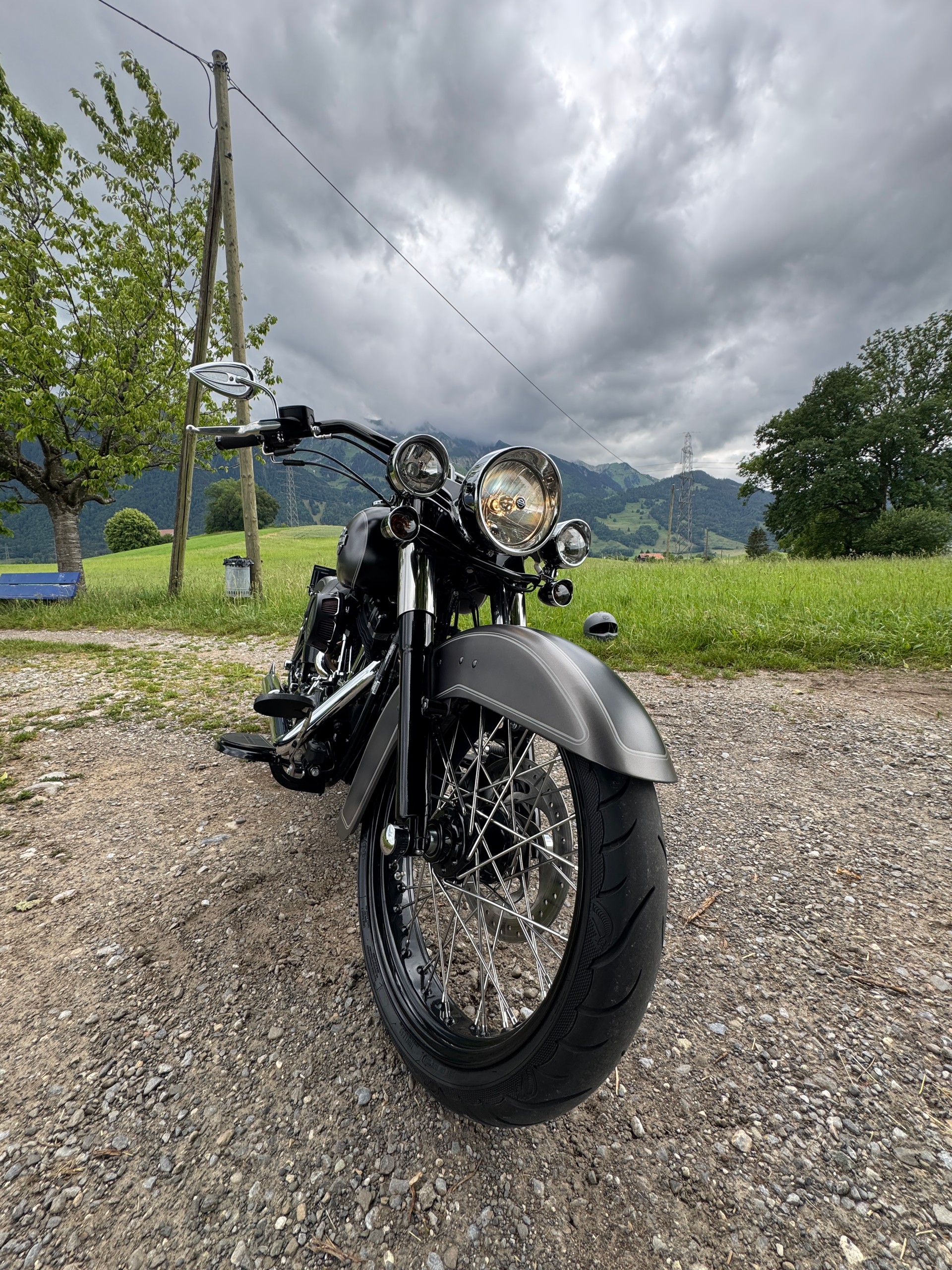HARLEY-DAVIDSON FLS Softail Slim ABS