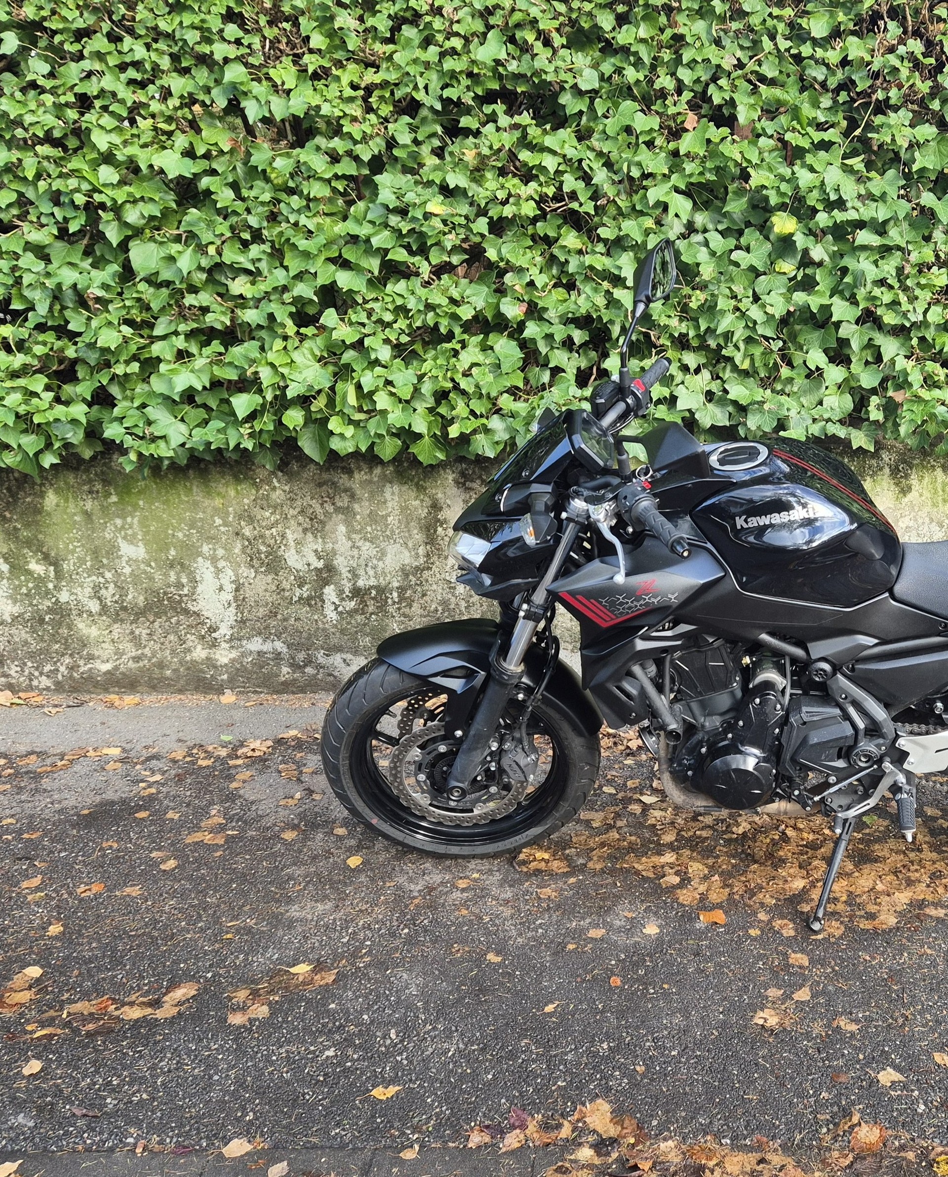 KAWASAKI Z 650 (35kW)-image-9