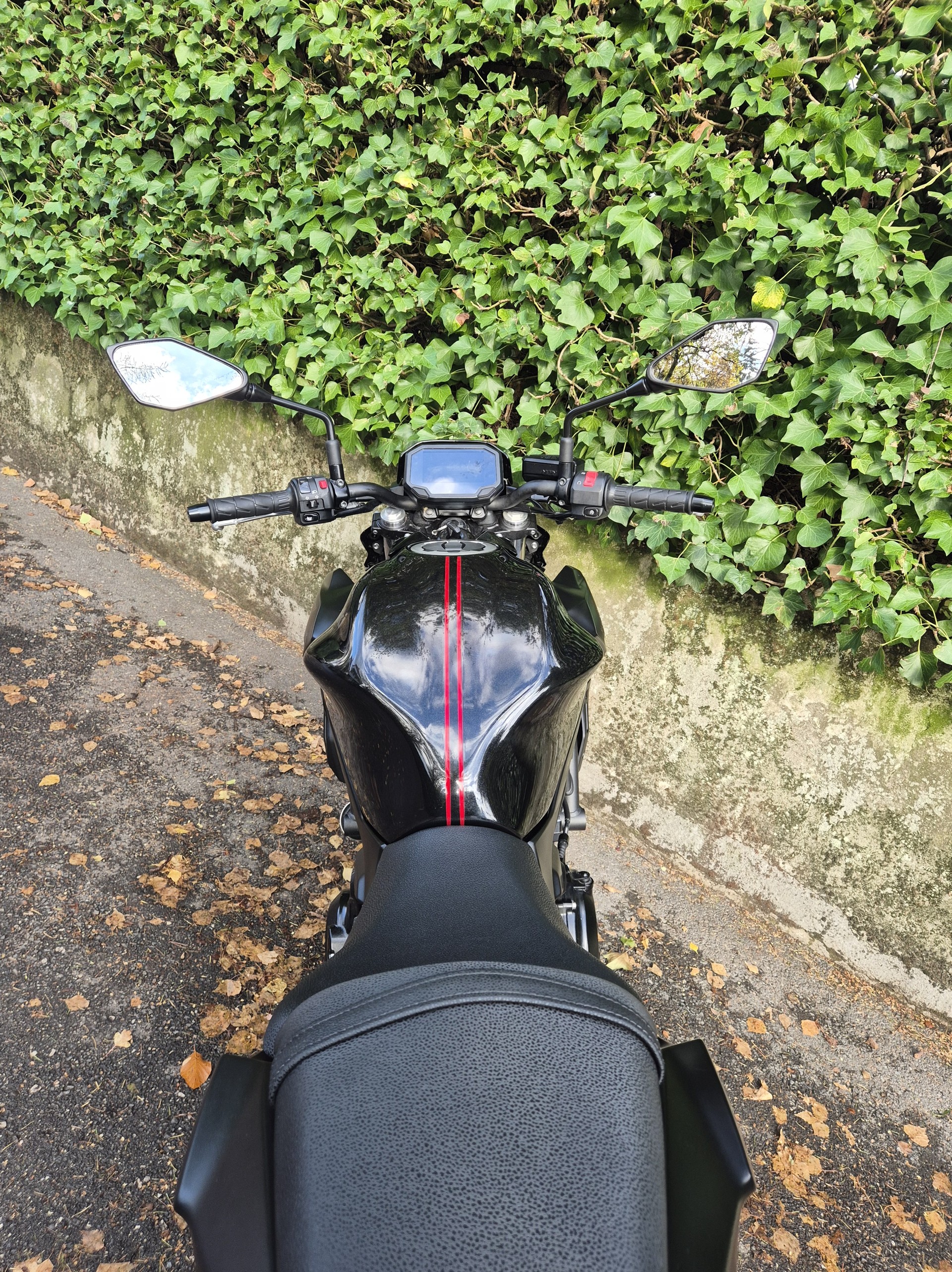 KAWASAKI Z 650 (35kW)-image-8