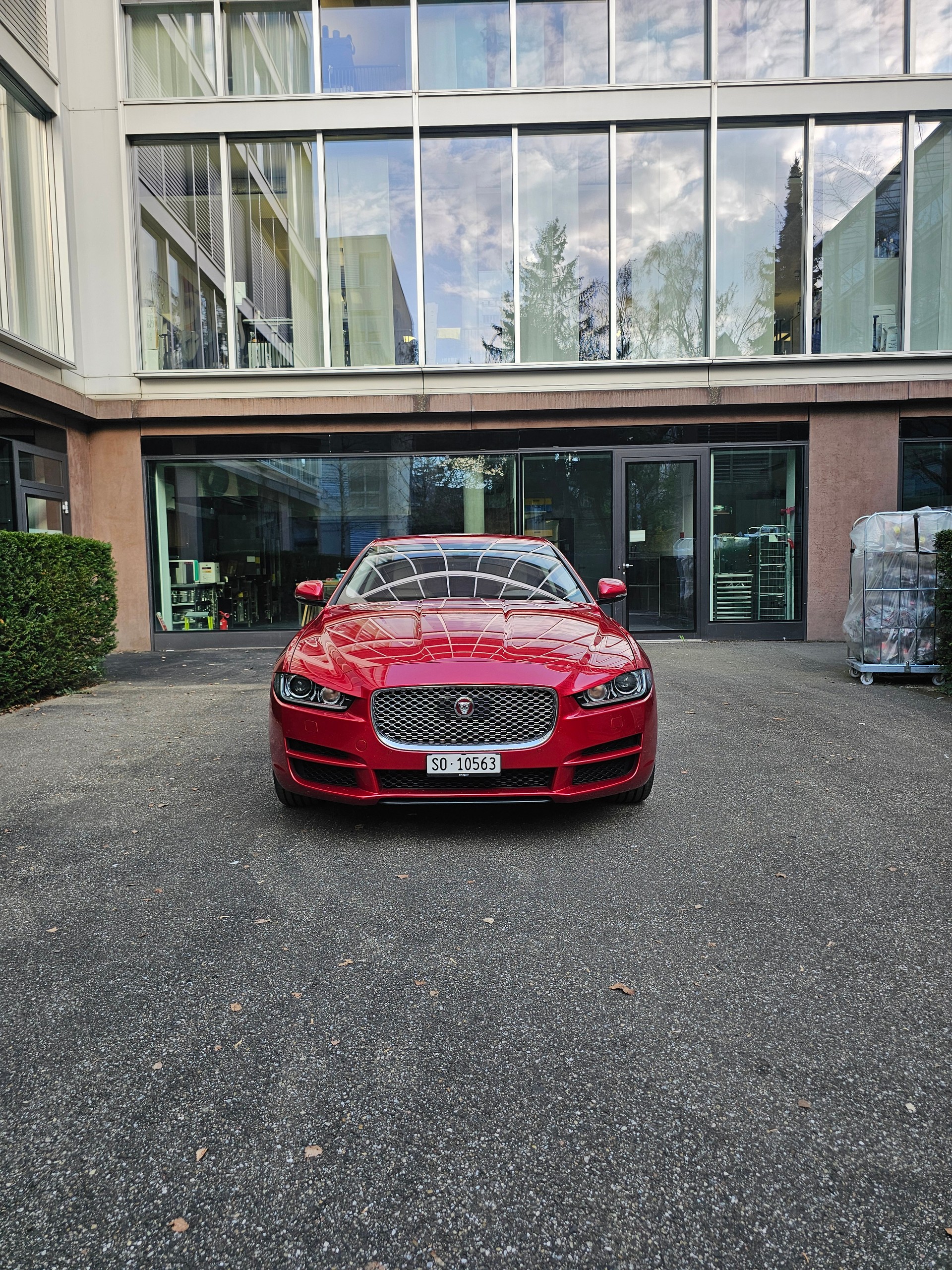 JAGUAR XE 30t 2.0 Portfolio AWD Automatic | Sternenhimmel-image-1