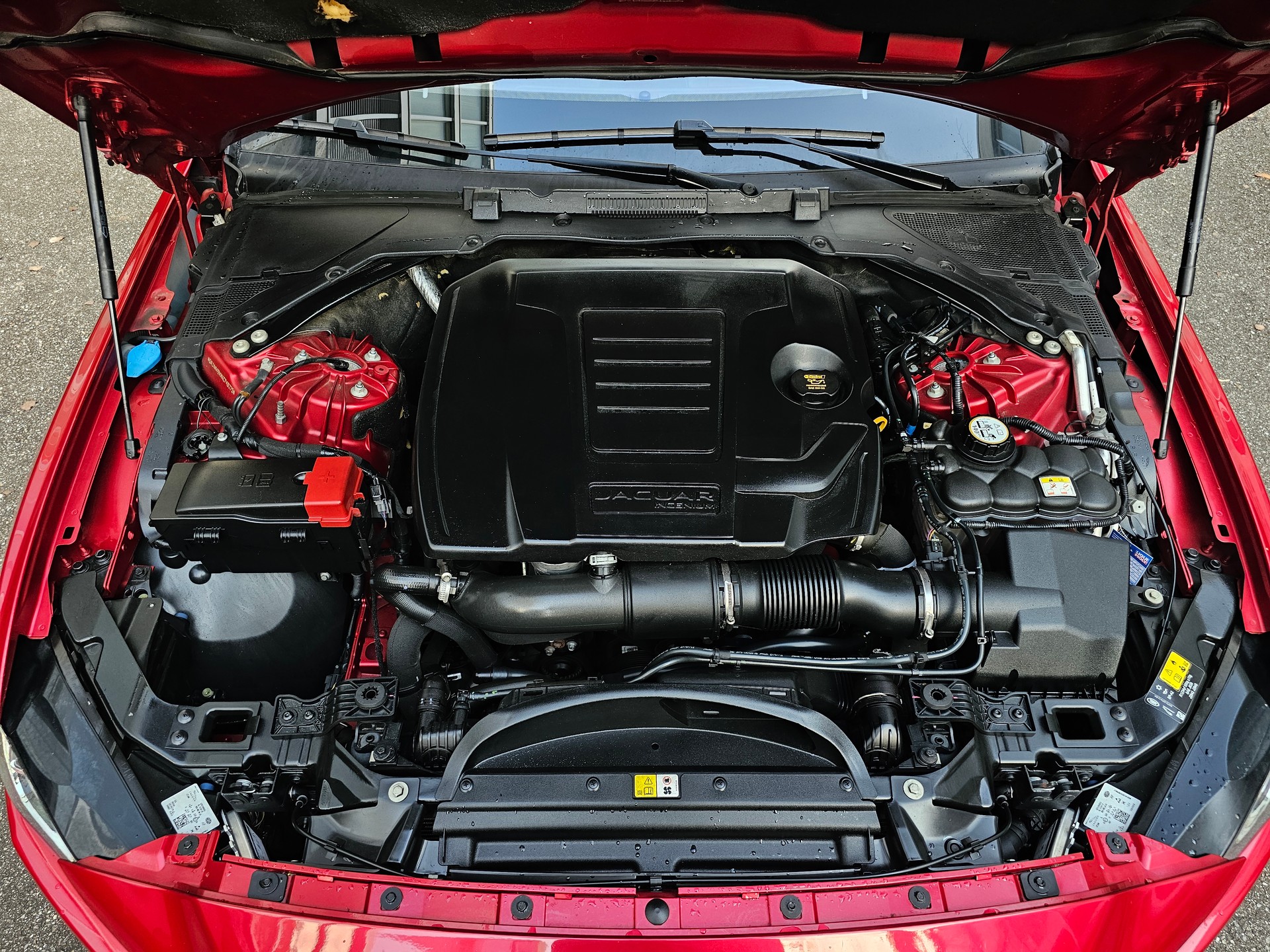 JAGUAR XE 30t 2.0 Portfolio AWD Automatic | Sternenhimmel-image-8