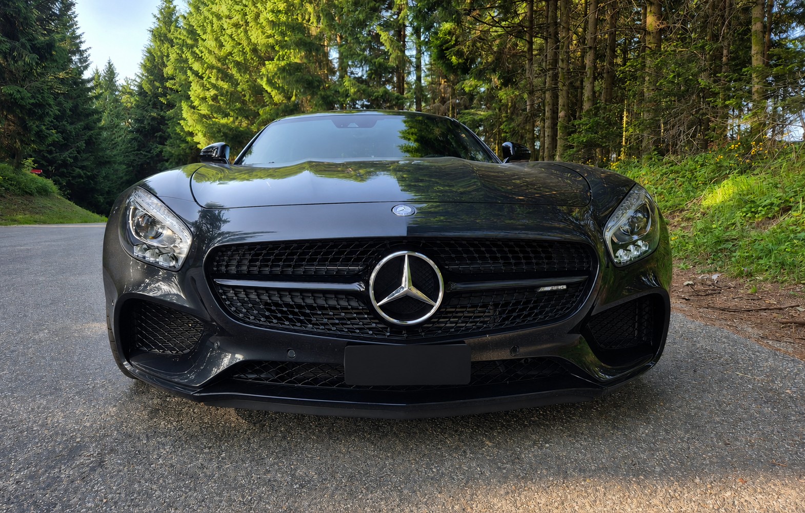 MERCEDES-BENZ AMG GT-image-3
