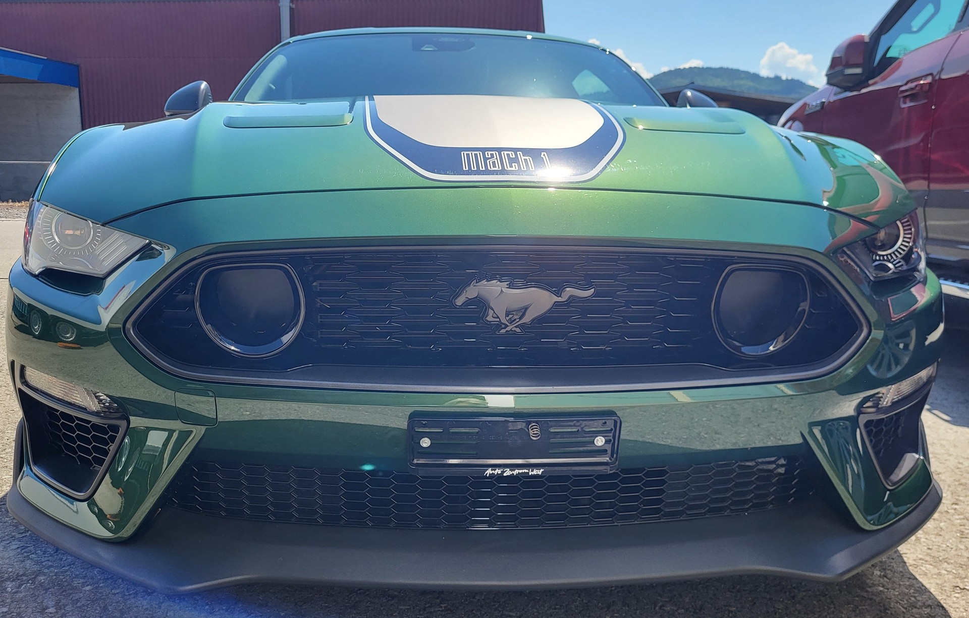 FORD 5.0 V8 Mach 1-image-2