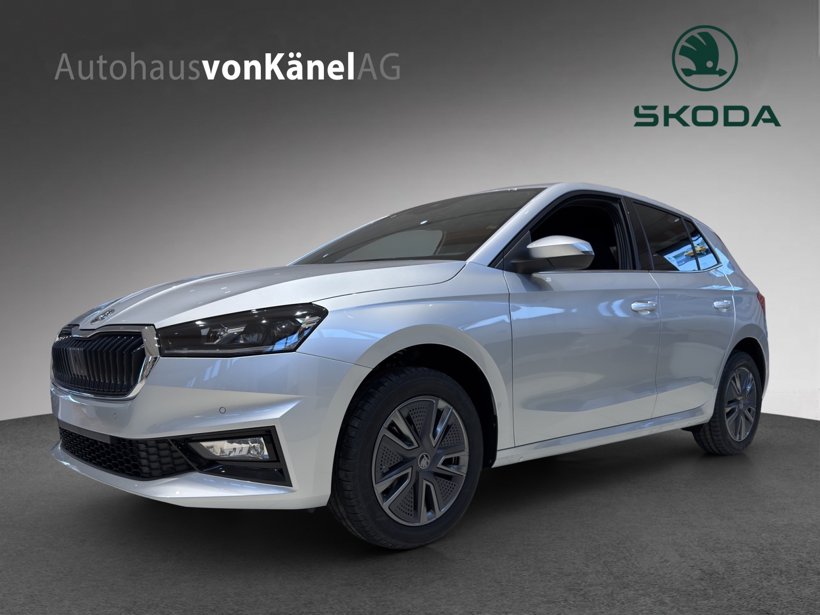 SKODA Fabia 1.0 TSI Dynamic DSG-image-0