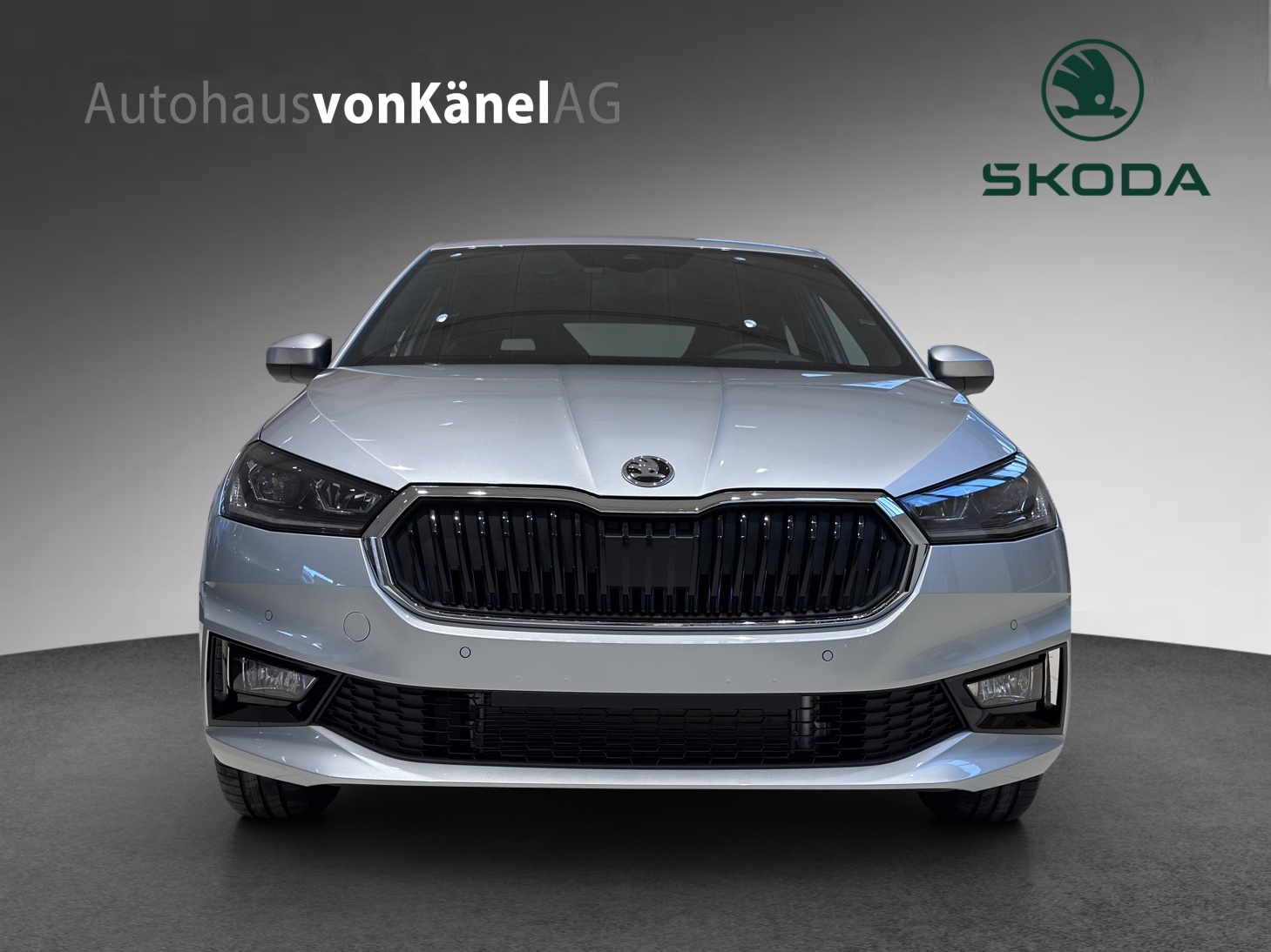 SKODA Fabia 1.0 TSI Dynamic DSG-image-3