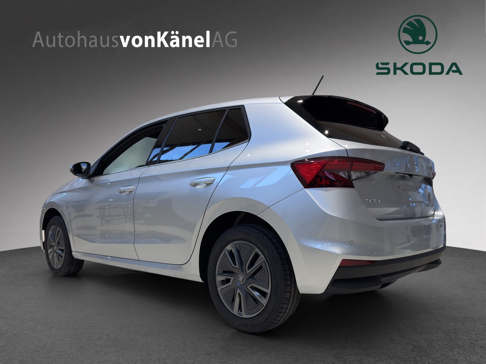 SKODA Fabia 1.0 TSI Dynamic DSG-image-2