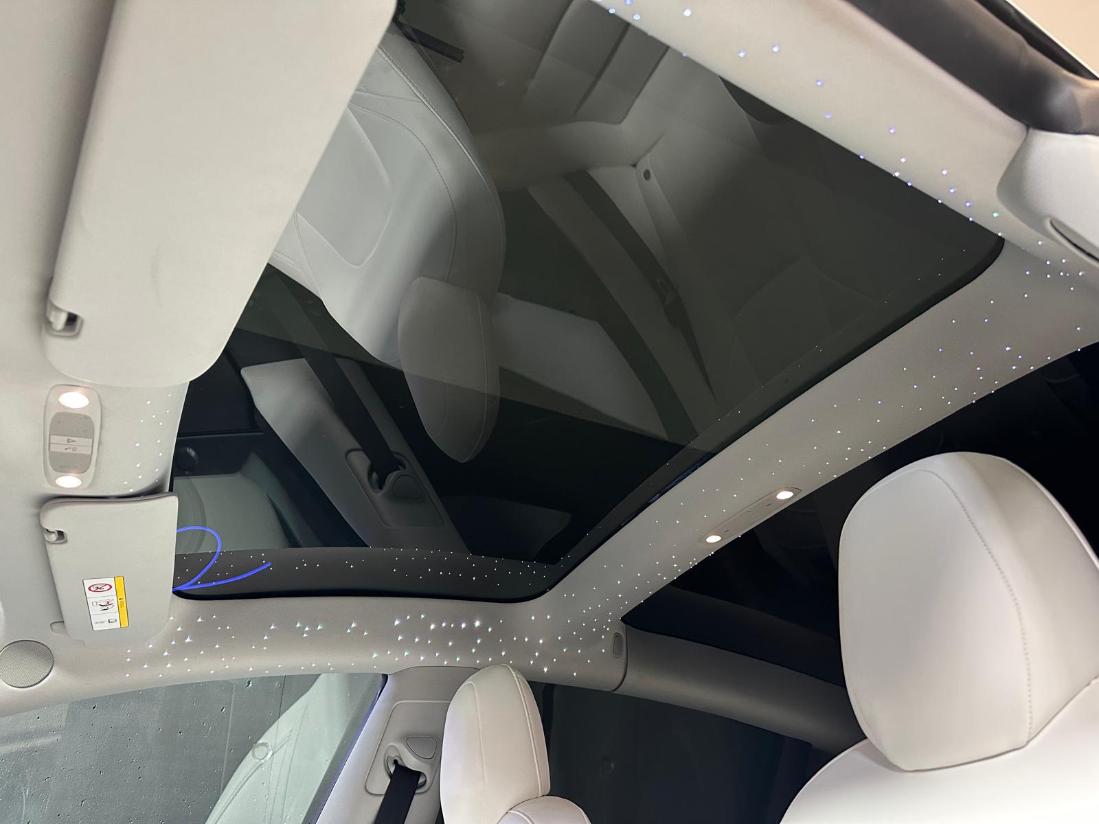 TESLA Model 3 Long Range Dual Motor AWD *Ciel de toit étoilé-image-14