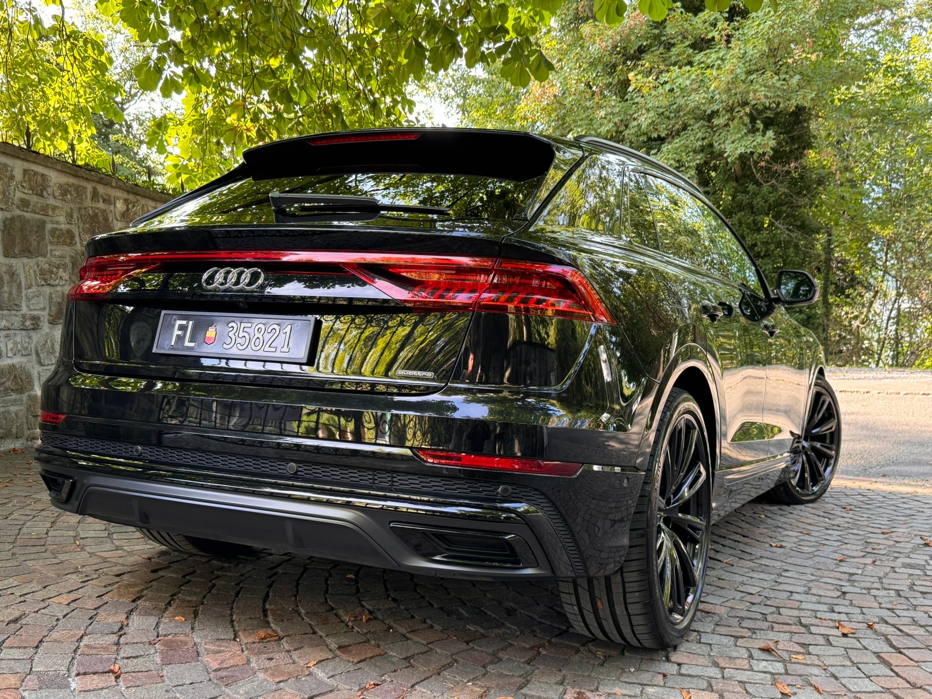 AUDI Q8 50 TDI Black Edition quattro tiptronic-image-1