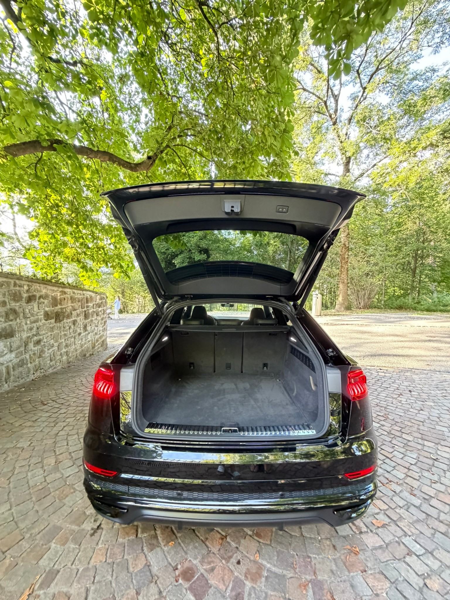 AUDI Q8 50 TDI Black Edition quattro tiptronic-image-2