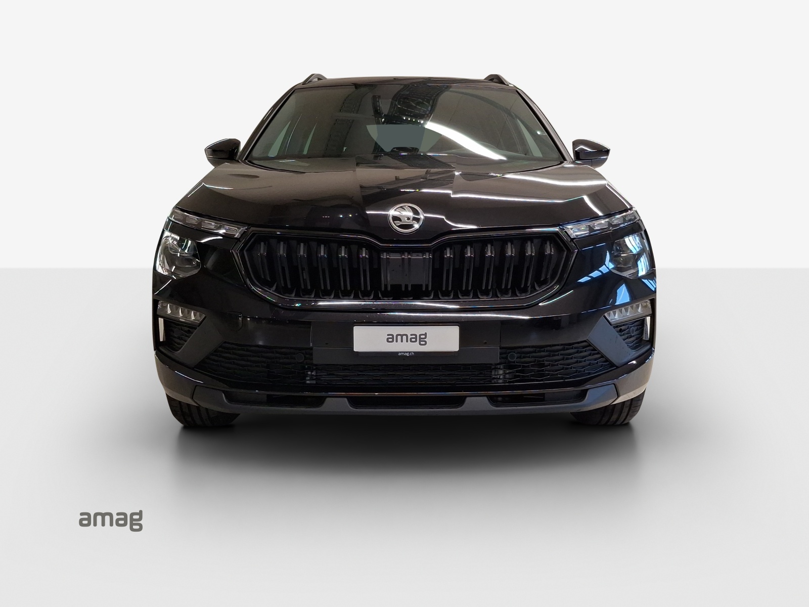 SKODA Kamiq 1.5 TSI Dynamic DSG-image-6