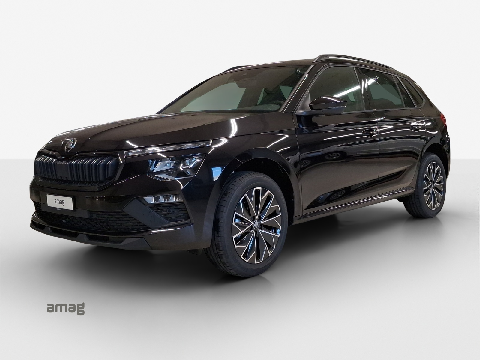 SKODA Kamiq 1.5 TSI Dynamic DSG-image-0