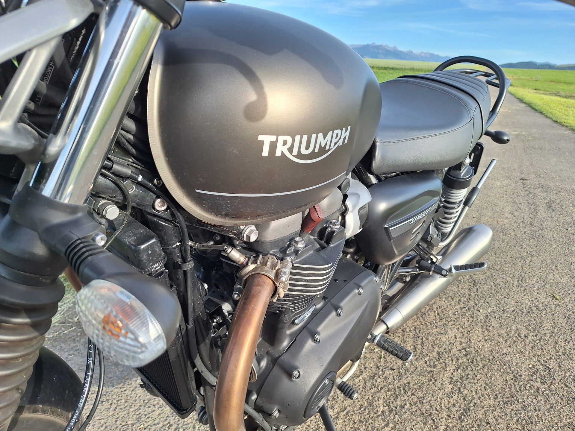 TRIUMPH Street Twin 900 Gold Line-image-10