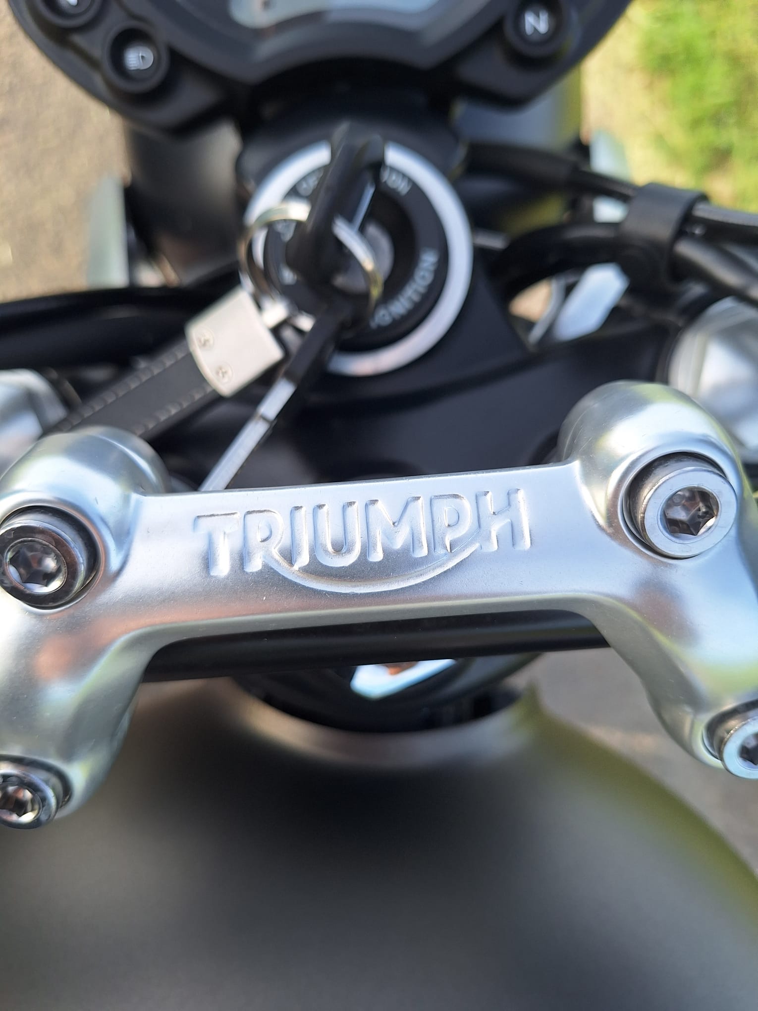 TRIUMPH Street Twin 900 Gold Line-image-5