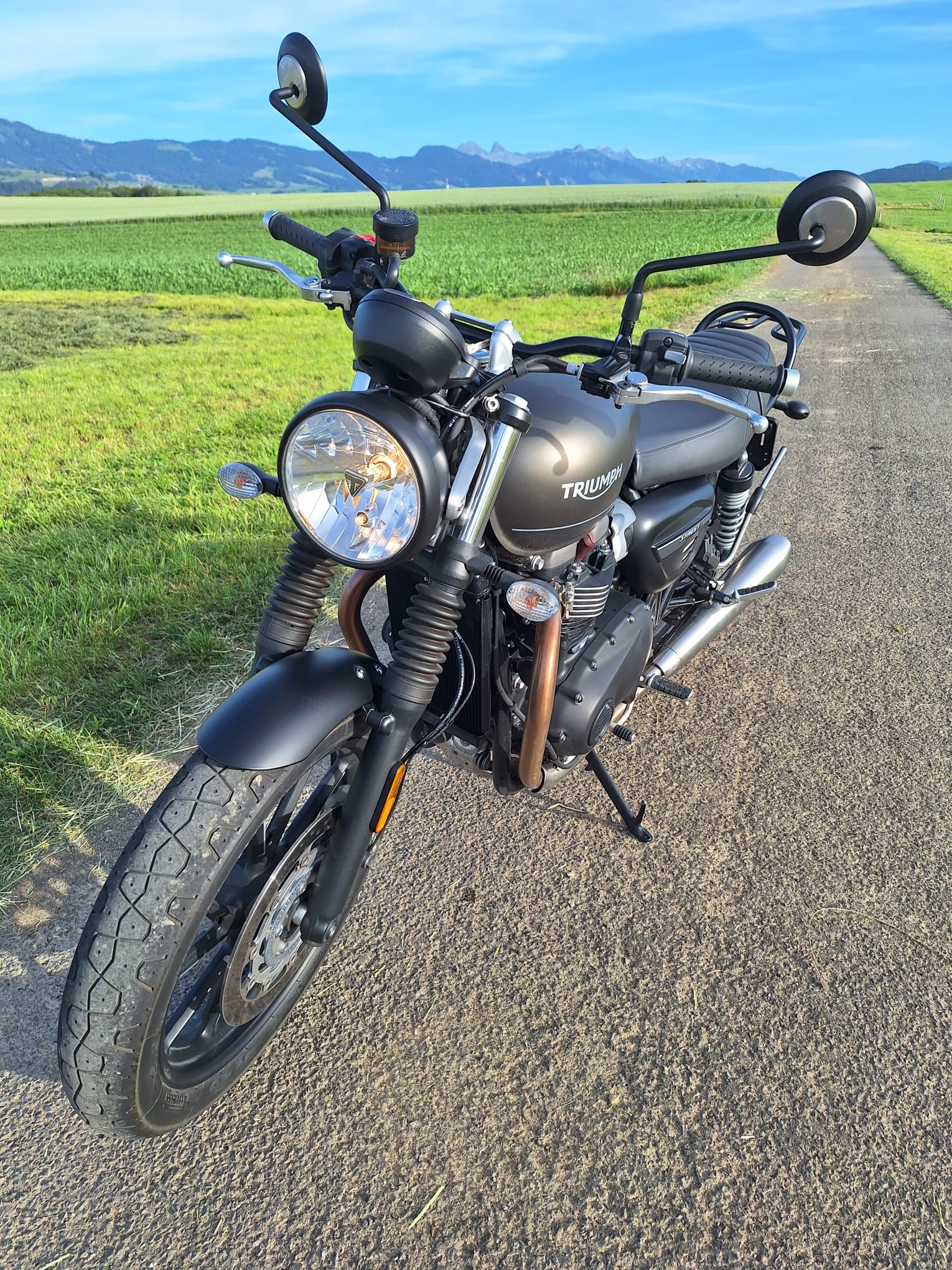 TRIUMPH Street Twin 900 Gold Line-image-8