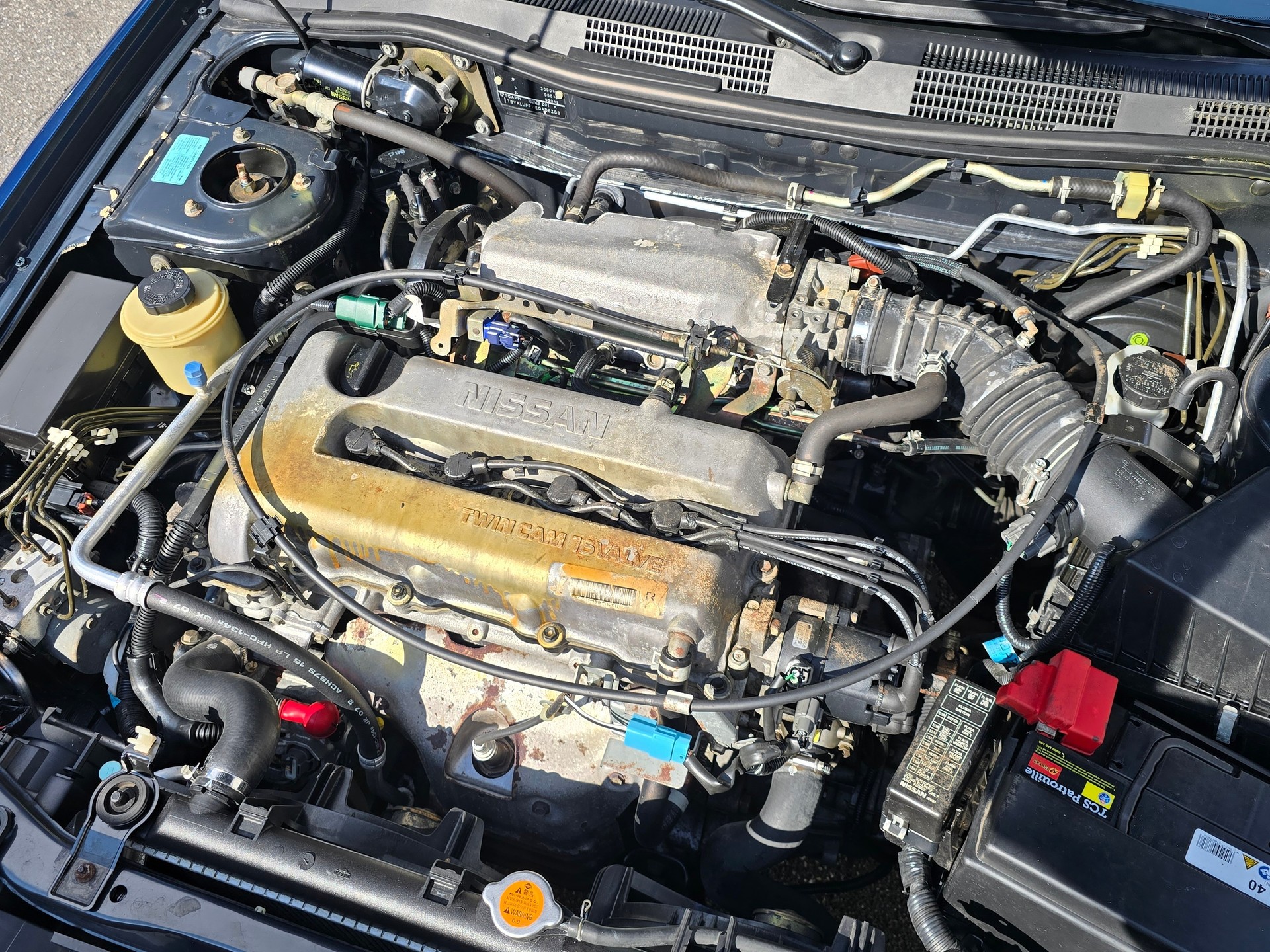 NISSAN Primera 2.0 Plus-image-10