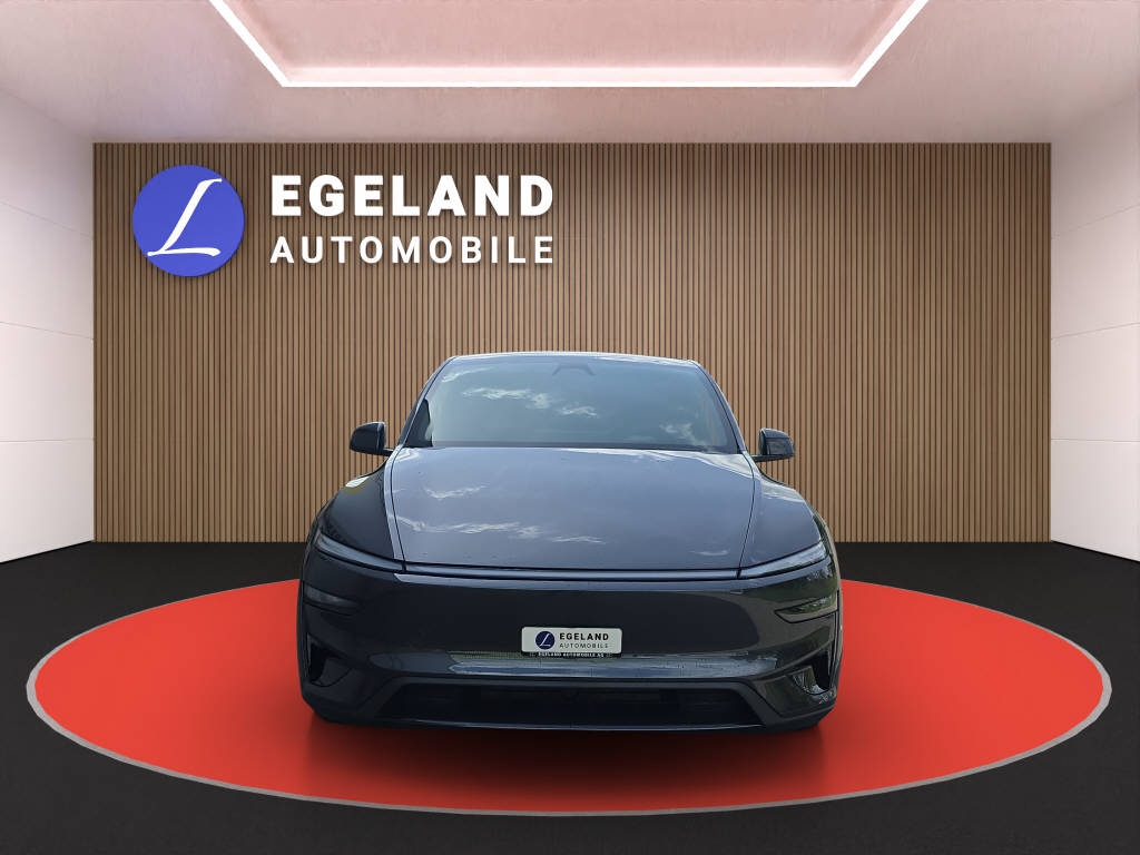 TESLA Model Y Performance AWD-showroom-element-2