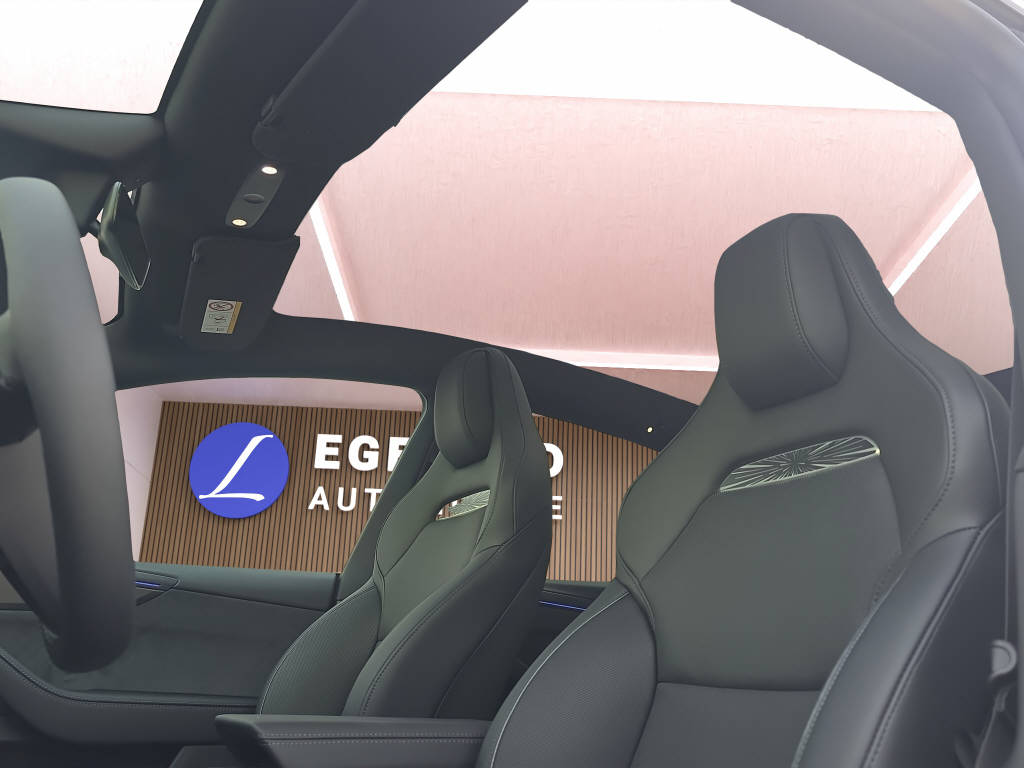 TESLA Model Y Performance AWD-image-12