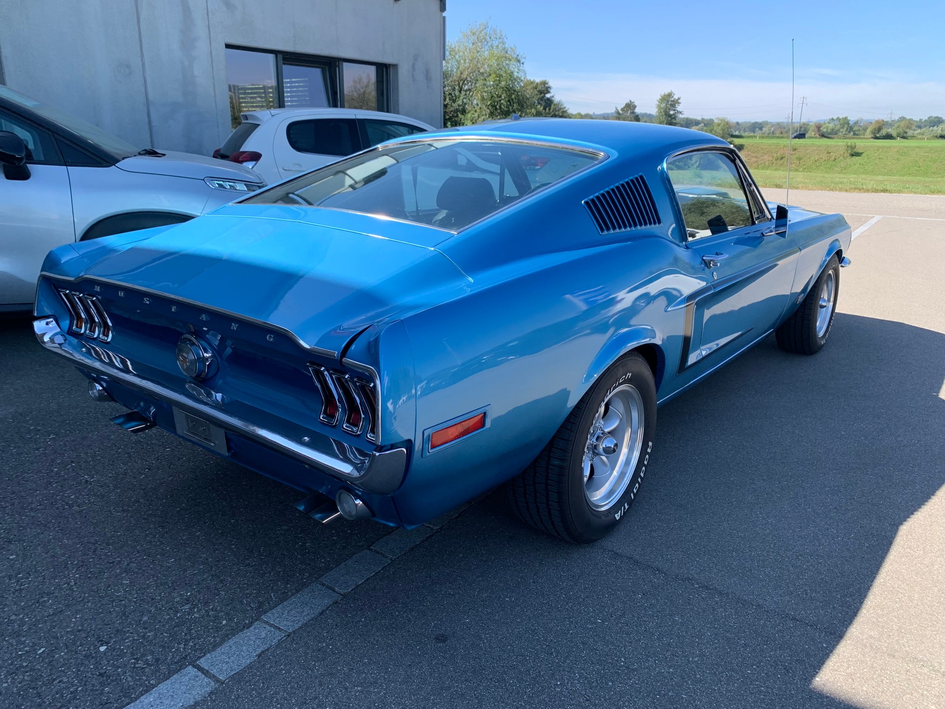 FORD MUSTANG Fastback-image-4