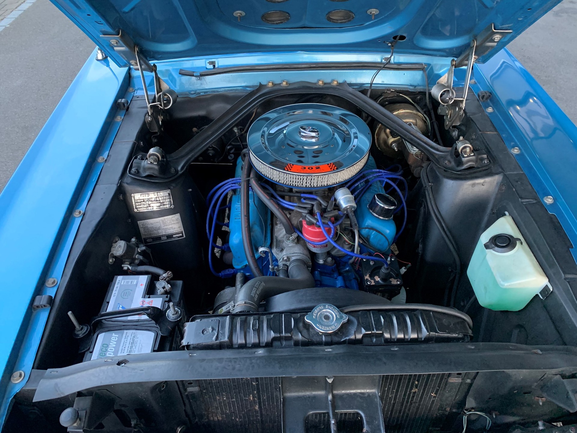 FORD MUSTANG Fastback-image-8