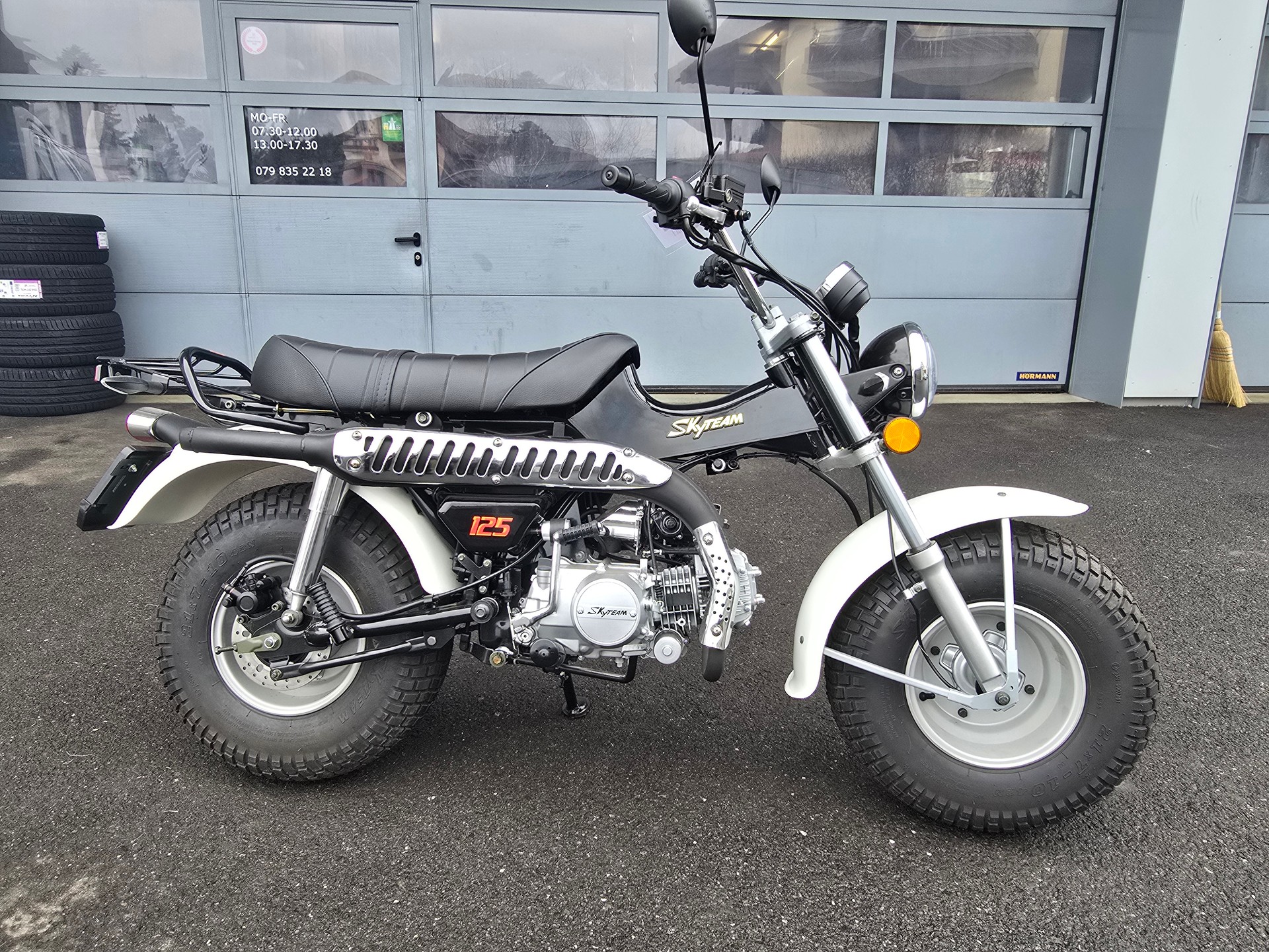 SKYTEAM T-Rex 125