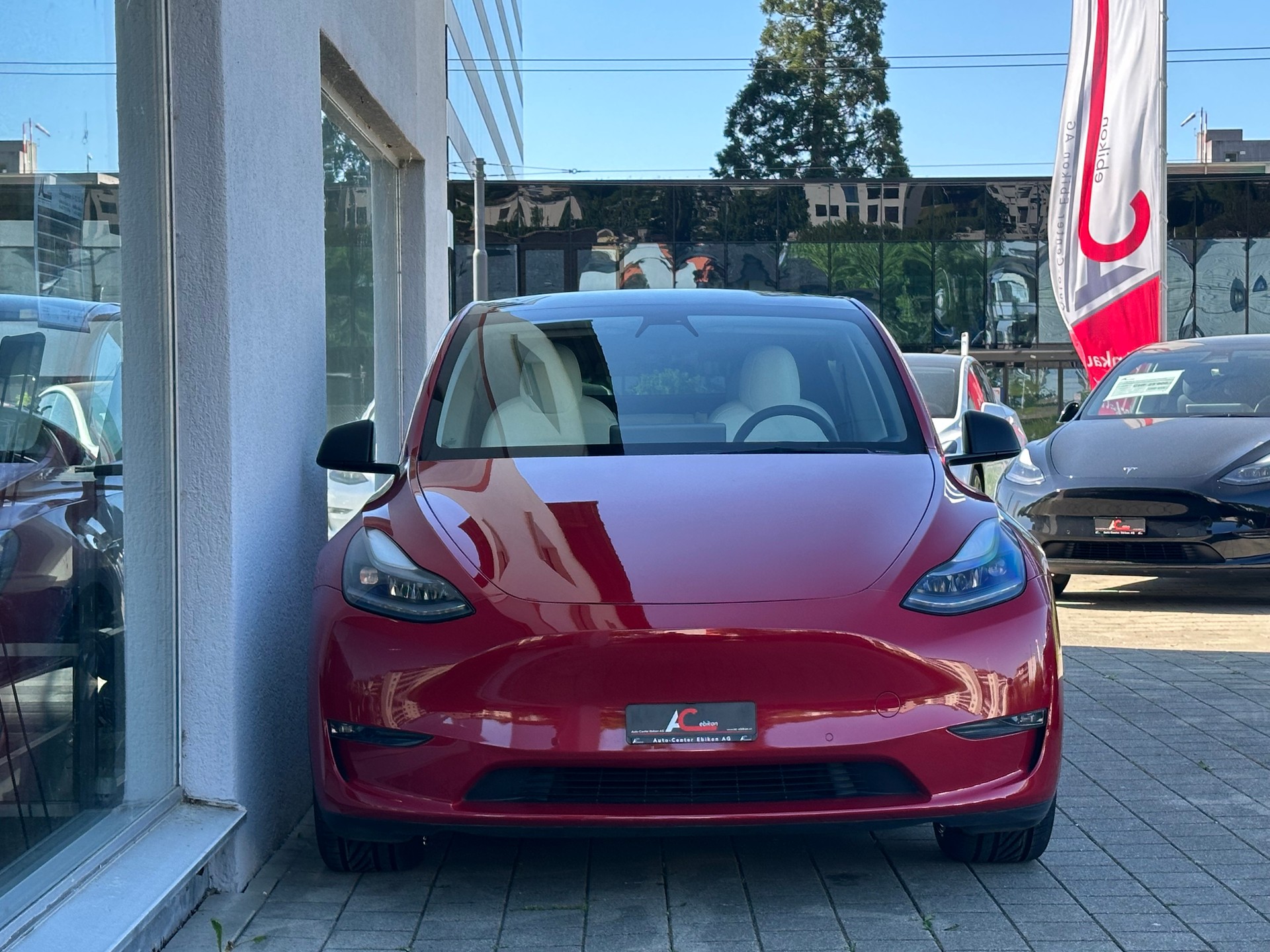 TESLA Model Y Long Range-image-3