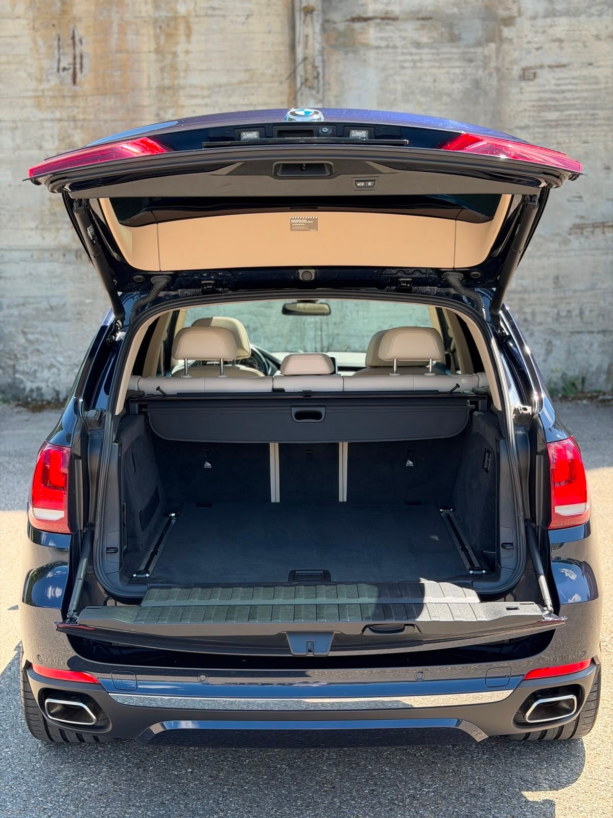 BMW X5 xDrive 40d Steptronic-image-6