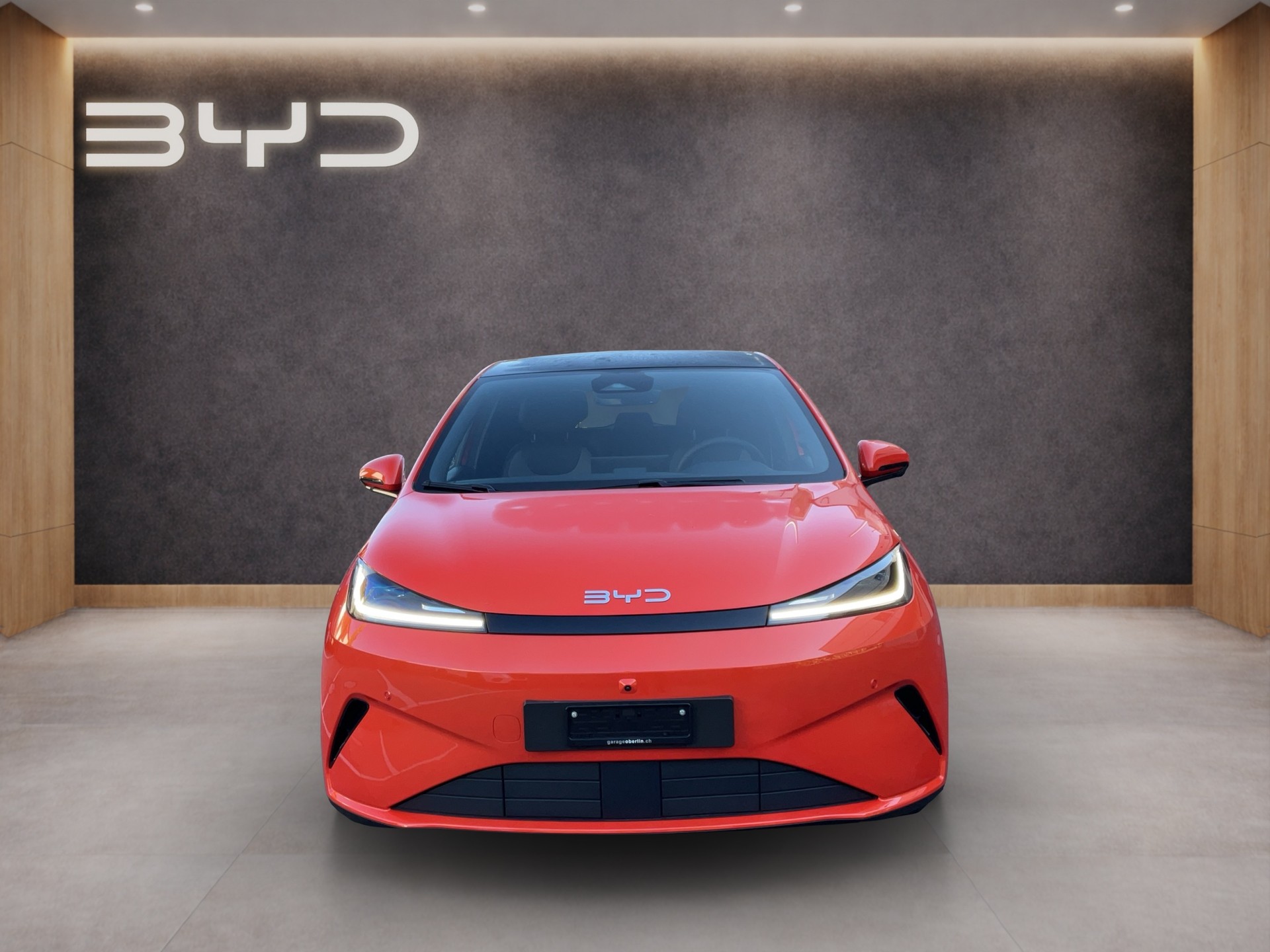 BYD Dolphin G DM-i Comfort-image-1