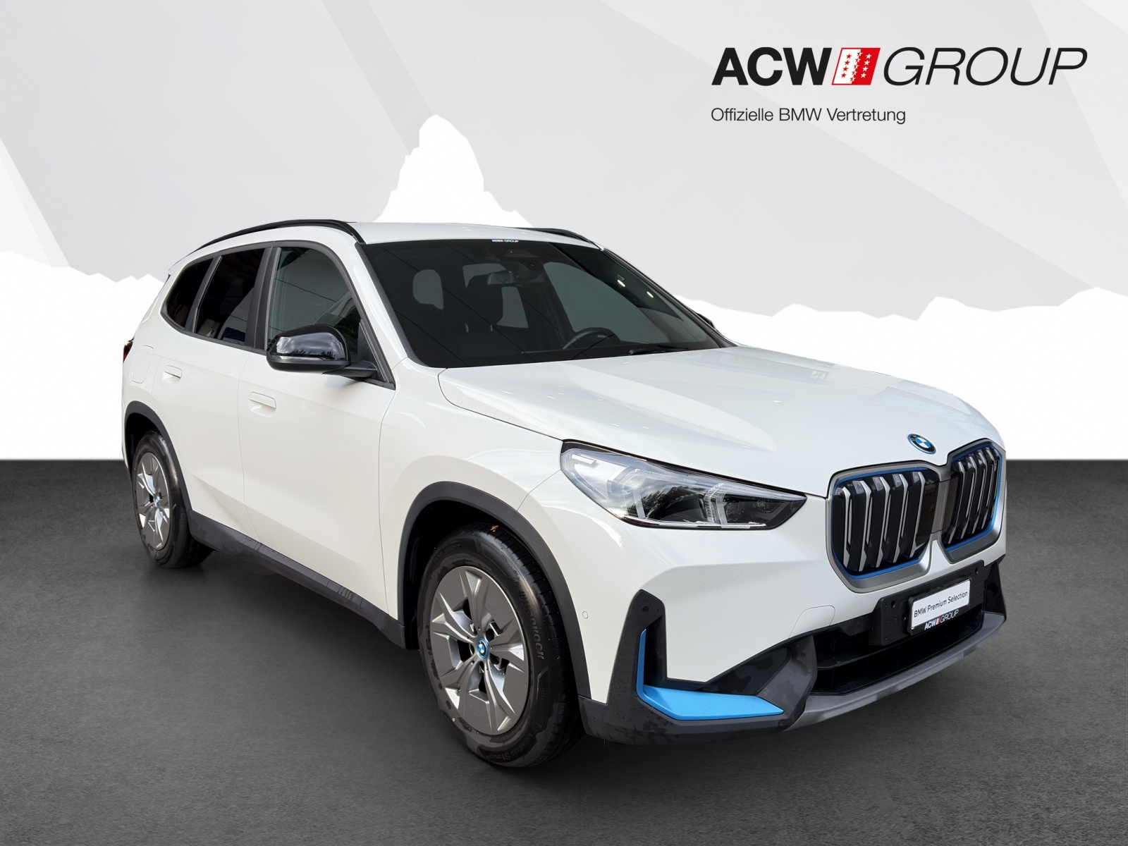 BMW iX1 xDrive30-image-6