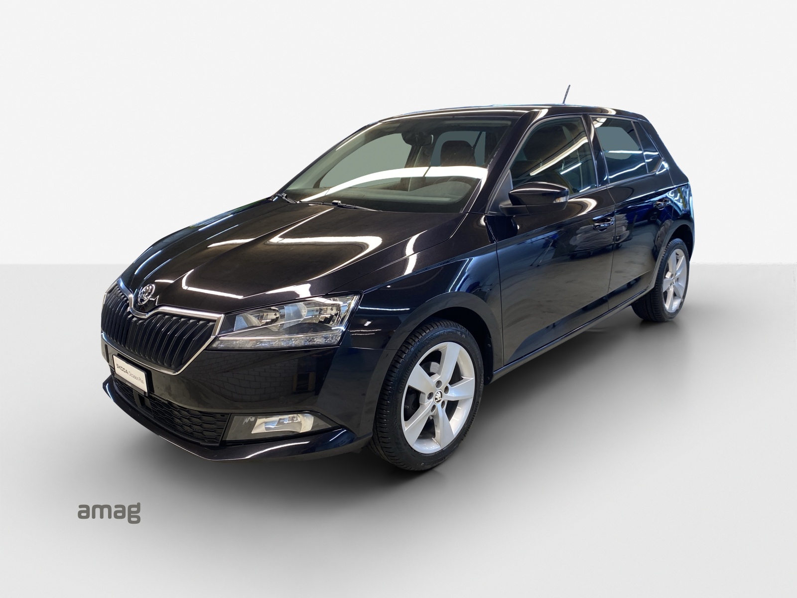 SKODA Fabia 1.0 TSI Ambition-image-0