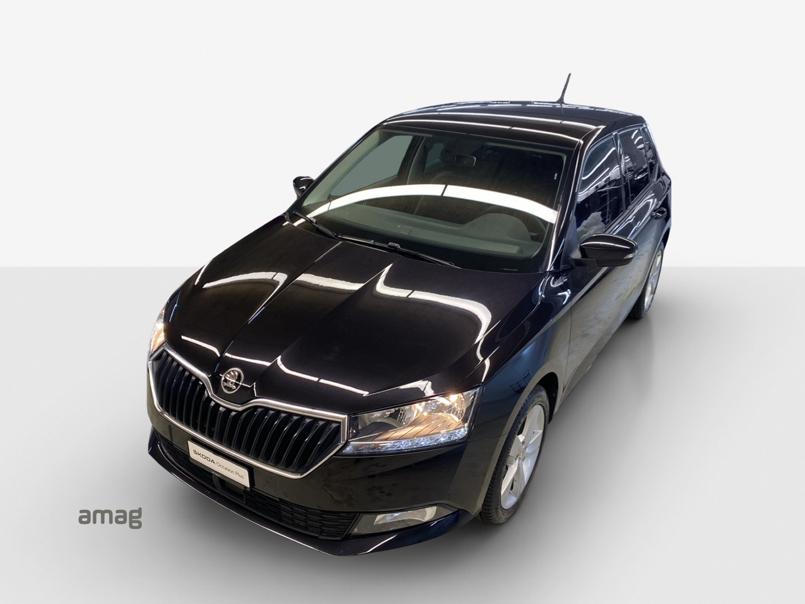 SKODA Fabia 1.0 TSI Ambition-image-15