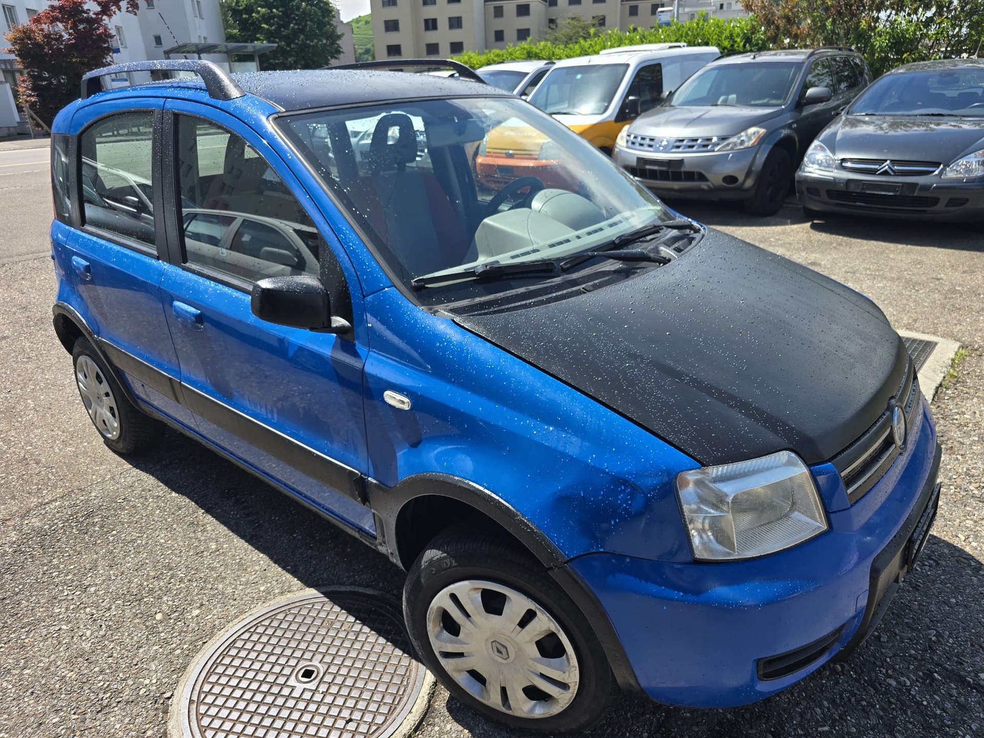 FIAT Panda 1.2 4x4 (Trekking)-image-1