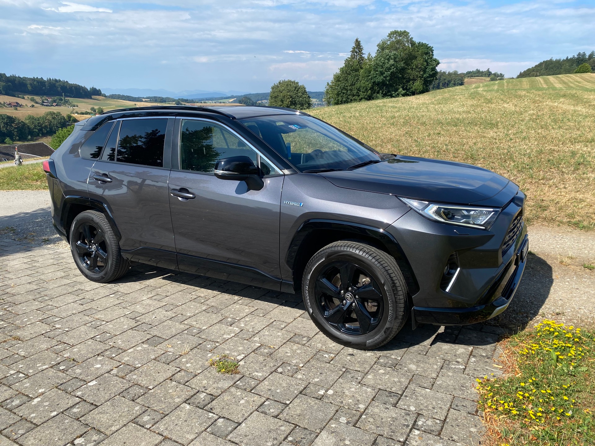 TOYOTA 2.5 HEV Style-image-0