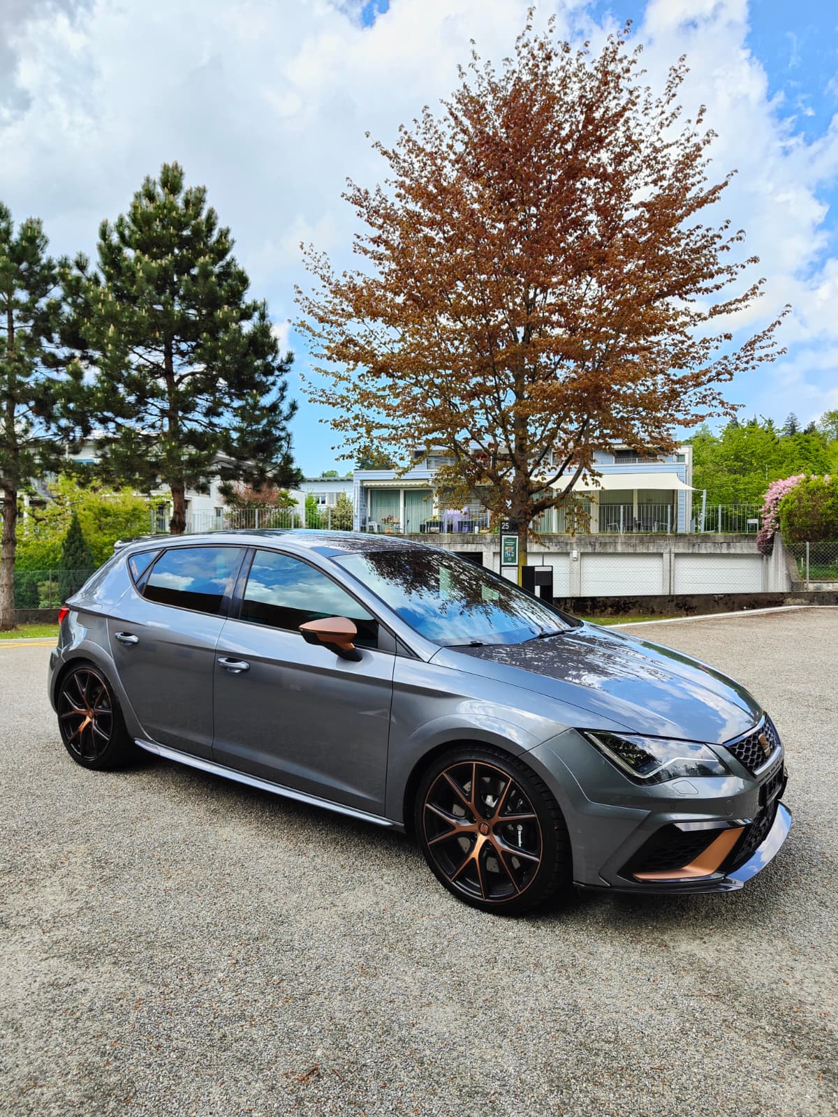 SEAT Leon 2.0 TSI Cupra R DSG-image-8