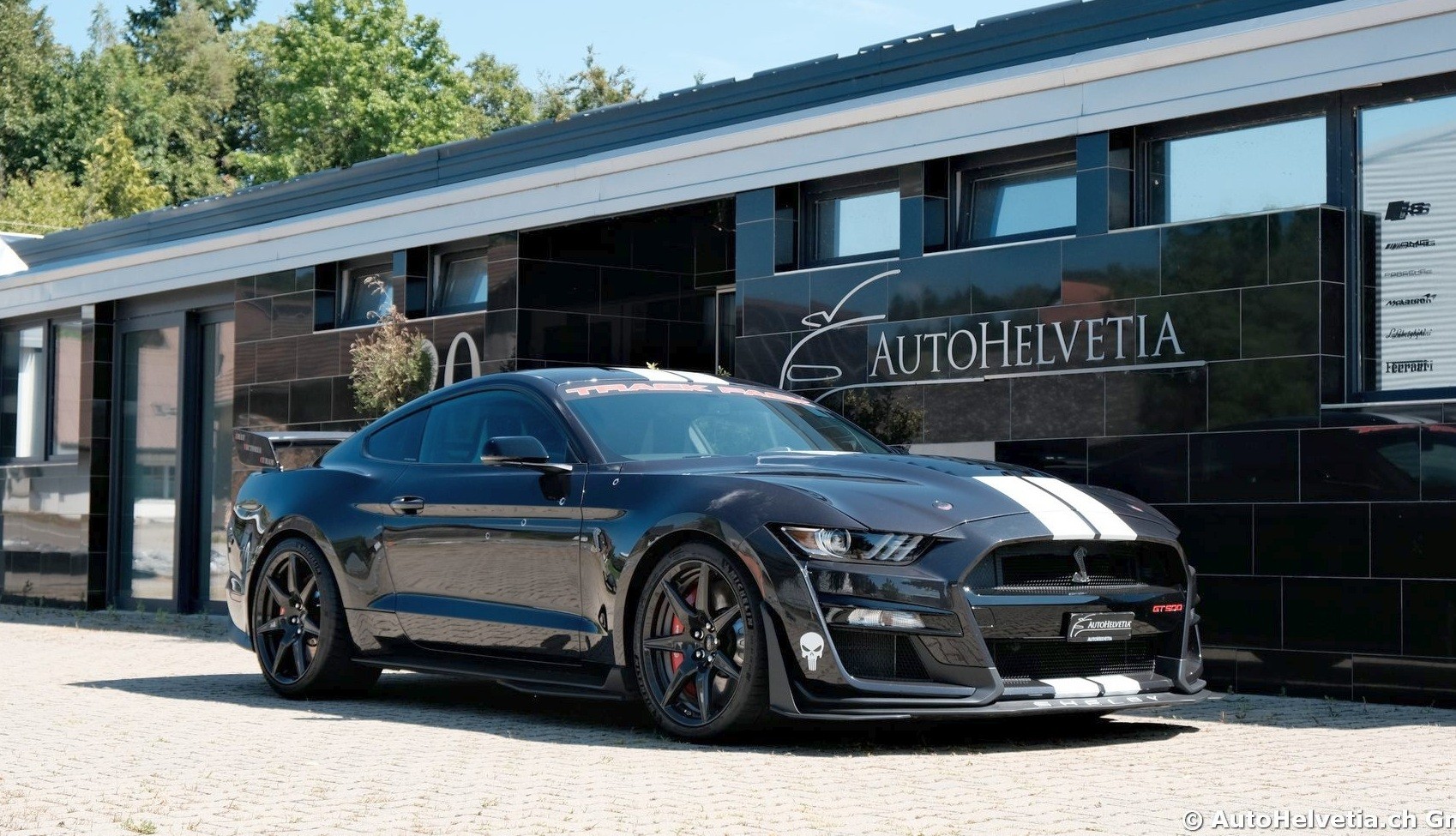 FORD Mustang Shelby GT 500 - Carbon Fiber Track Pack Predator GT500-image-0