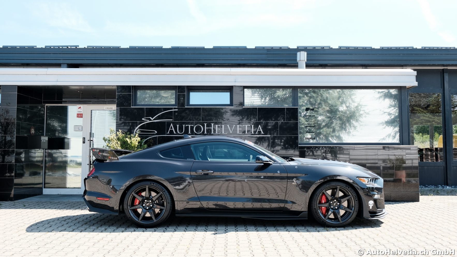 FORD Mustang Shelby GT 500 - Carbon Fiber Track Pack Predator GT500-image-3