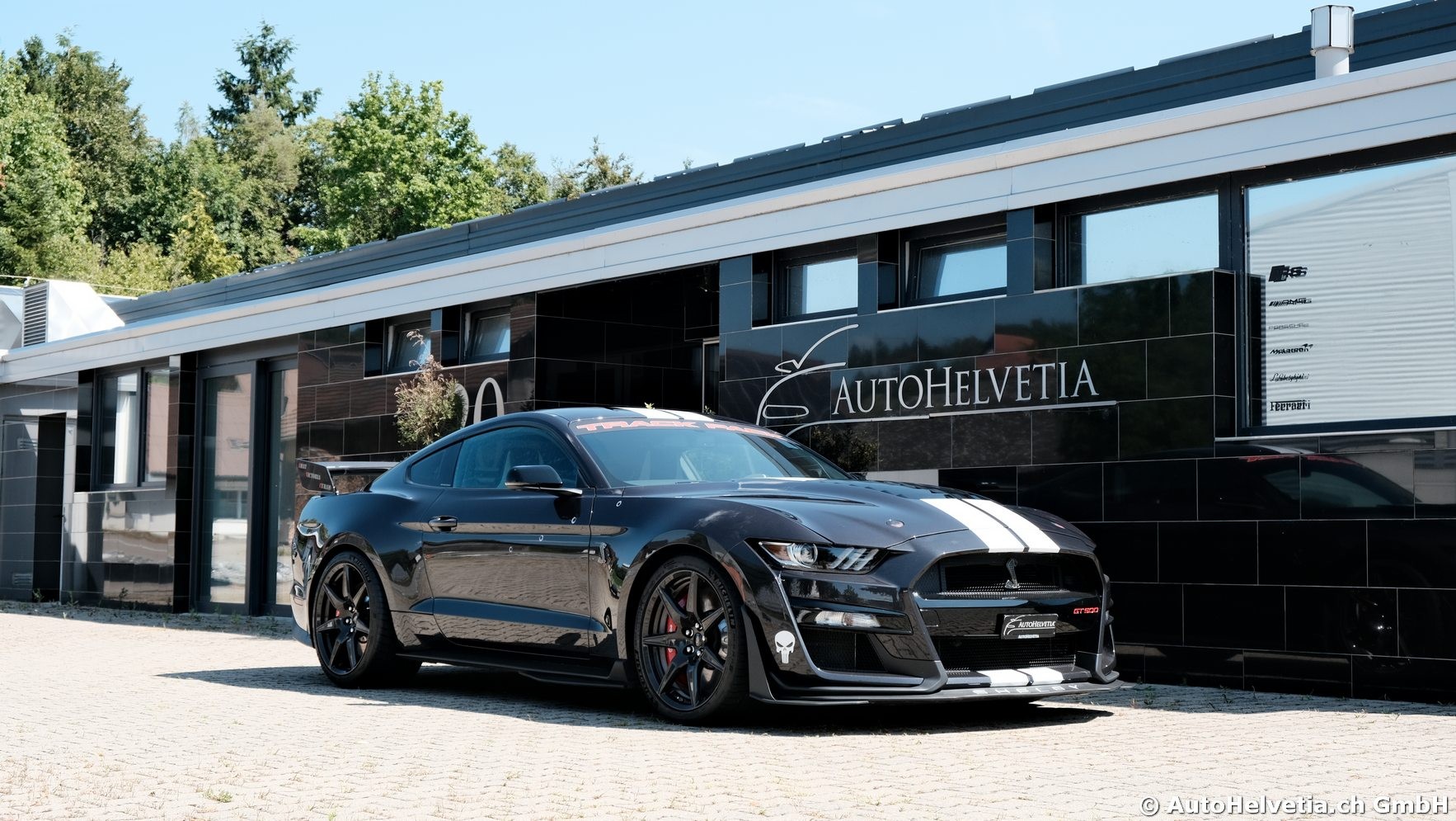 FORD Mustang Shelby GT 500 - Carbon Fiber Track Pack Predator GT500-image-15
