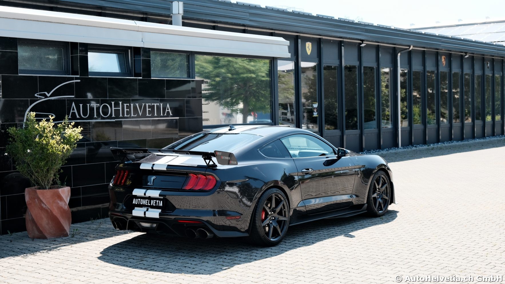 FORD Mustang Shelby GT 500 - Carbon Fiber Track Pack Predator GT500-image-16