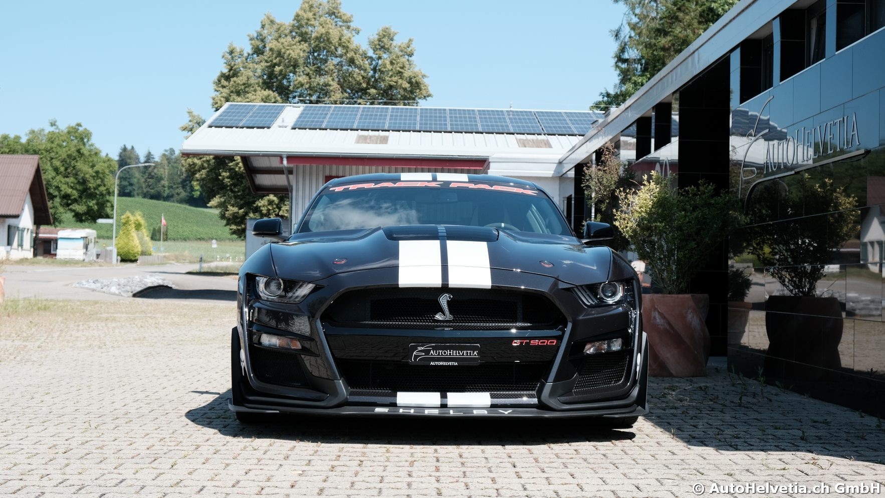 FORD Mustang Shelby GT 500 - Carbon Fiber Track Pack Predator GT500-image-2