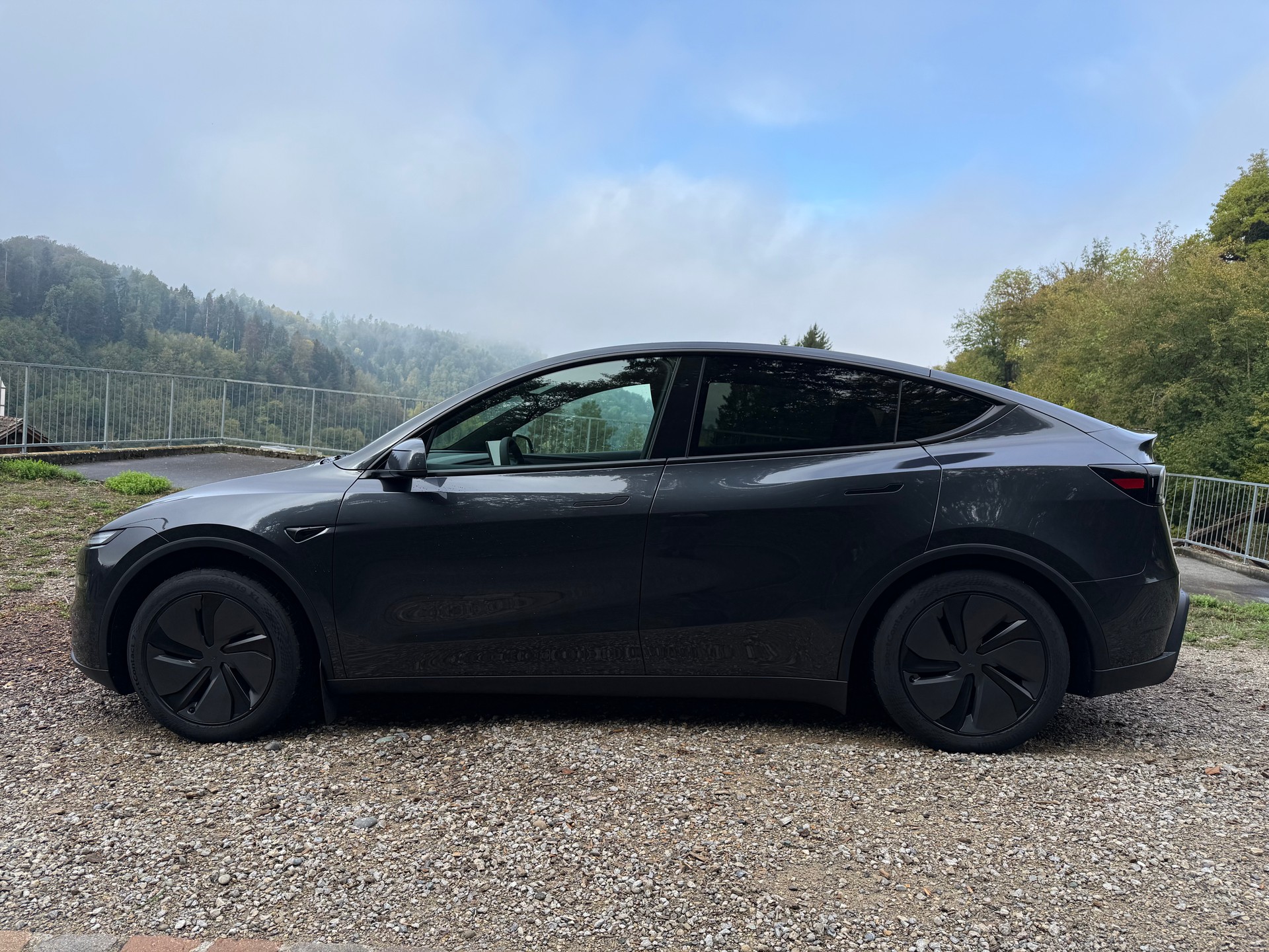 TESLA Model Y Long Range Premium AWD-image-5